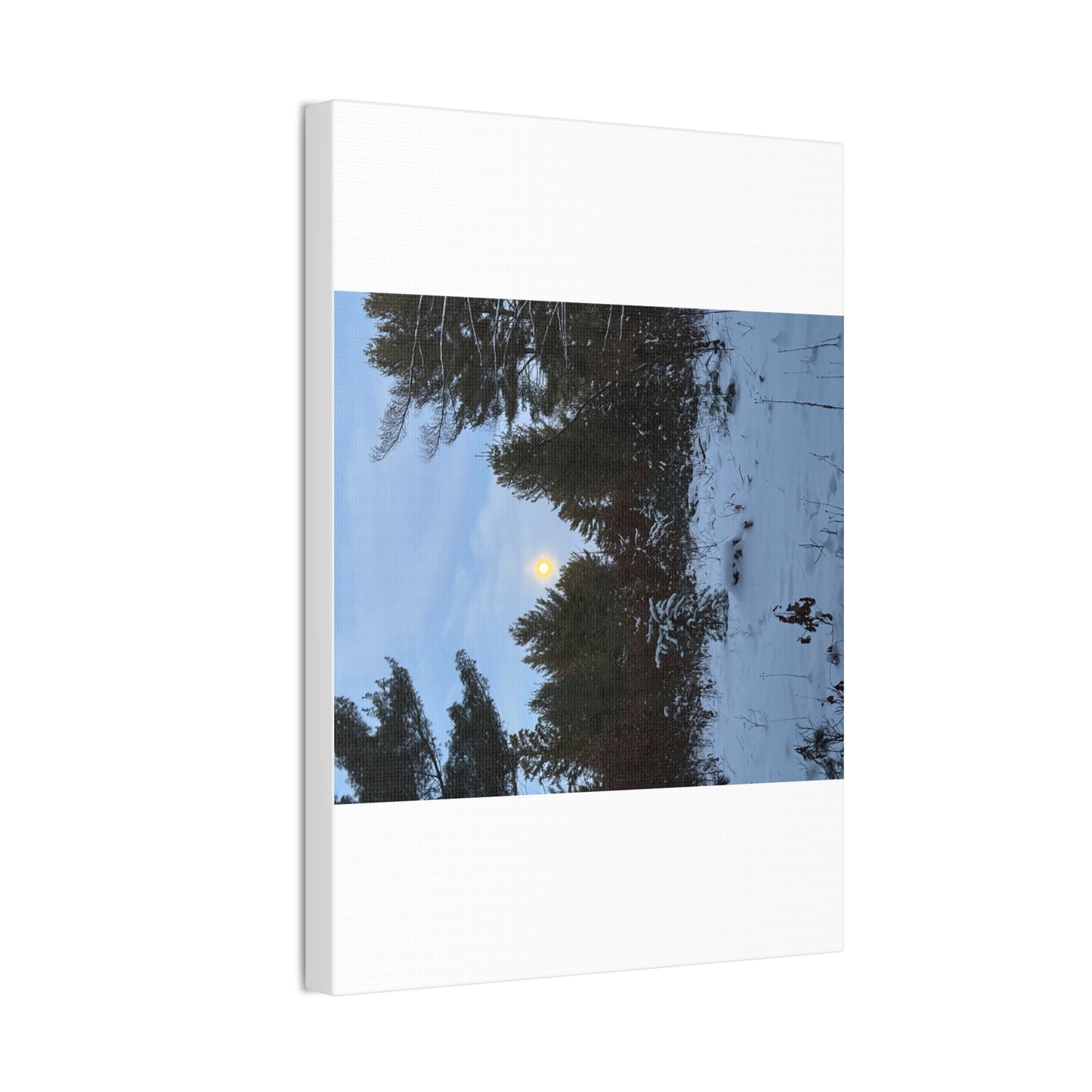 Wisconsin Adrenaline Junkies - Canvas Stretched, 0.75" - Snow