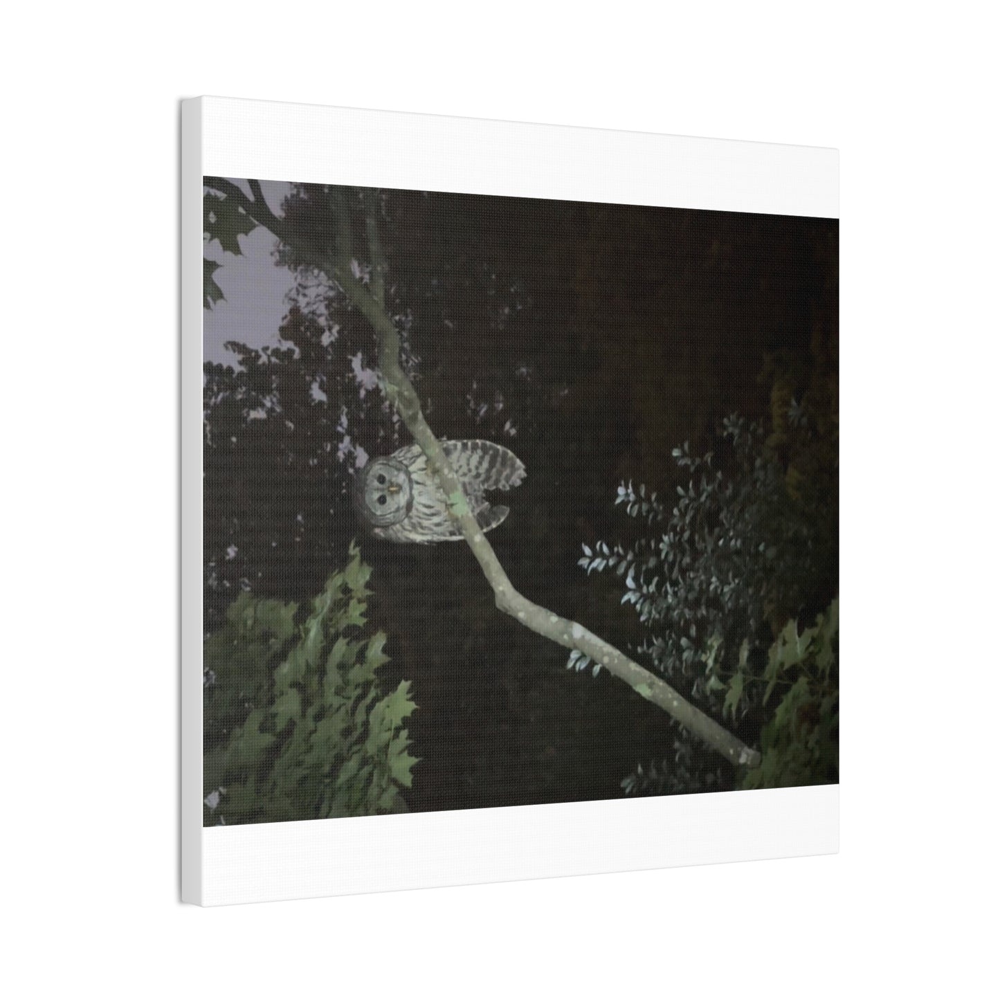 Wisconsin Adrenaline Junkies - Canvas Stretched, 0.75" - Watcher