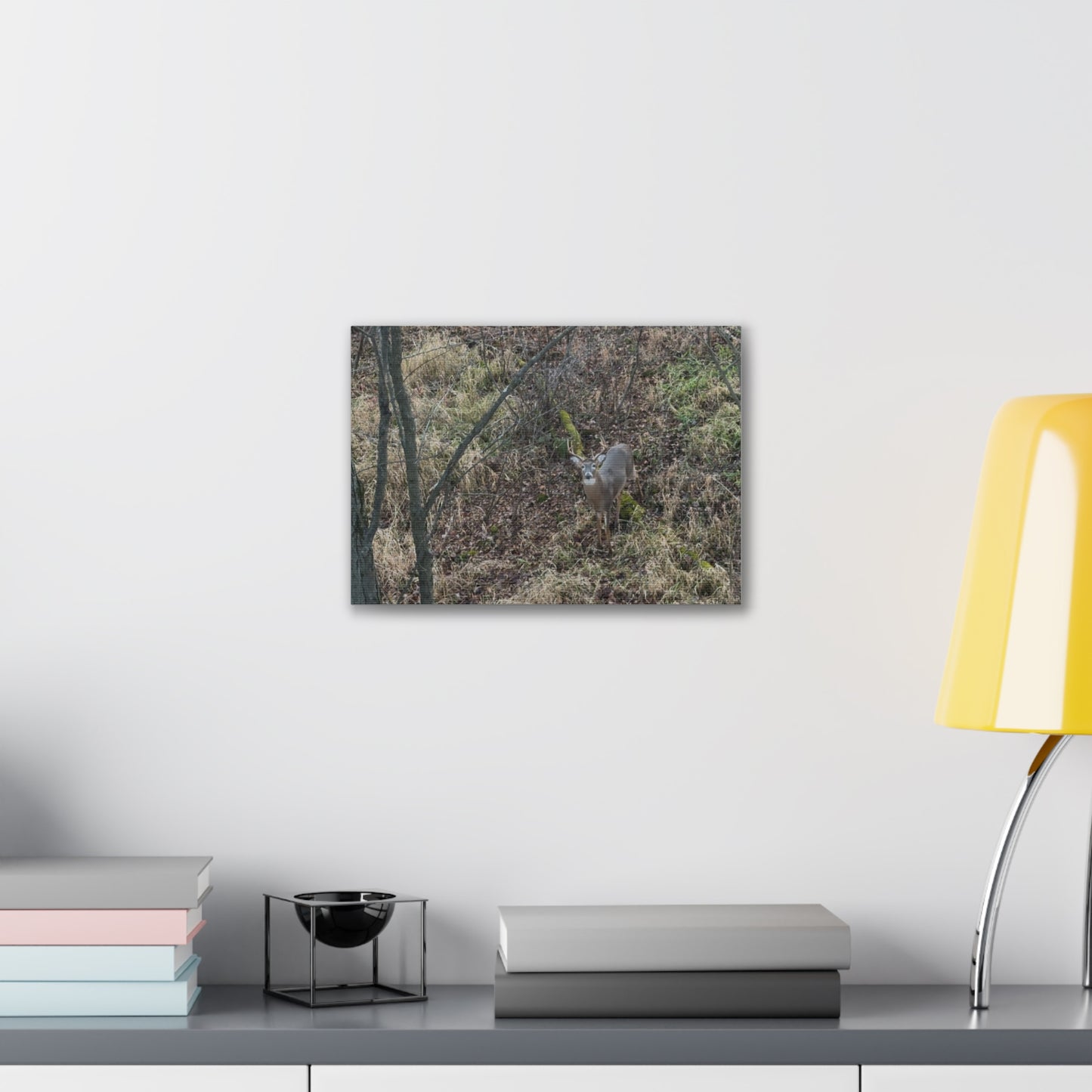 Wisconsin Adrenaline Junkies - Canvas Stretched, 0.75" - Deer