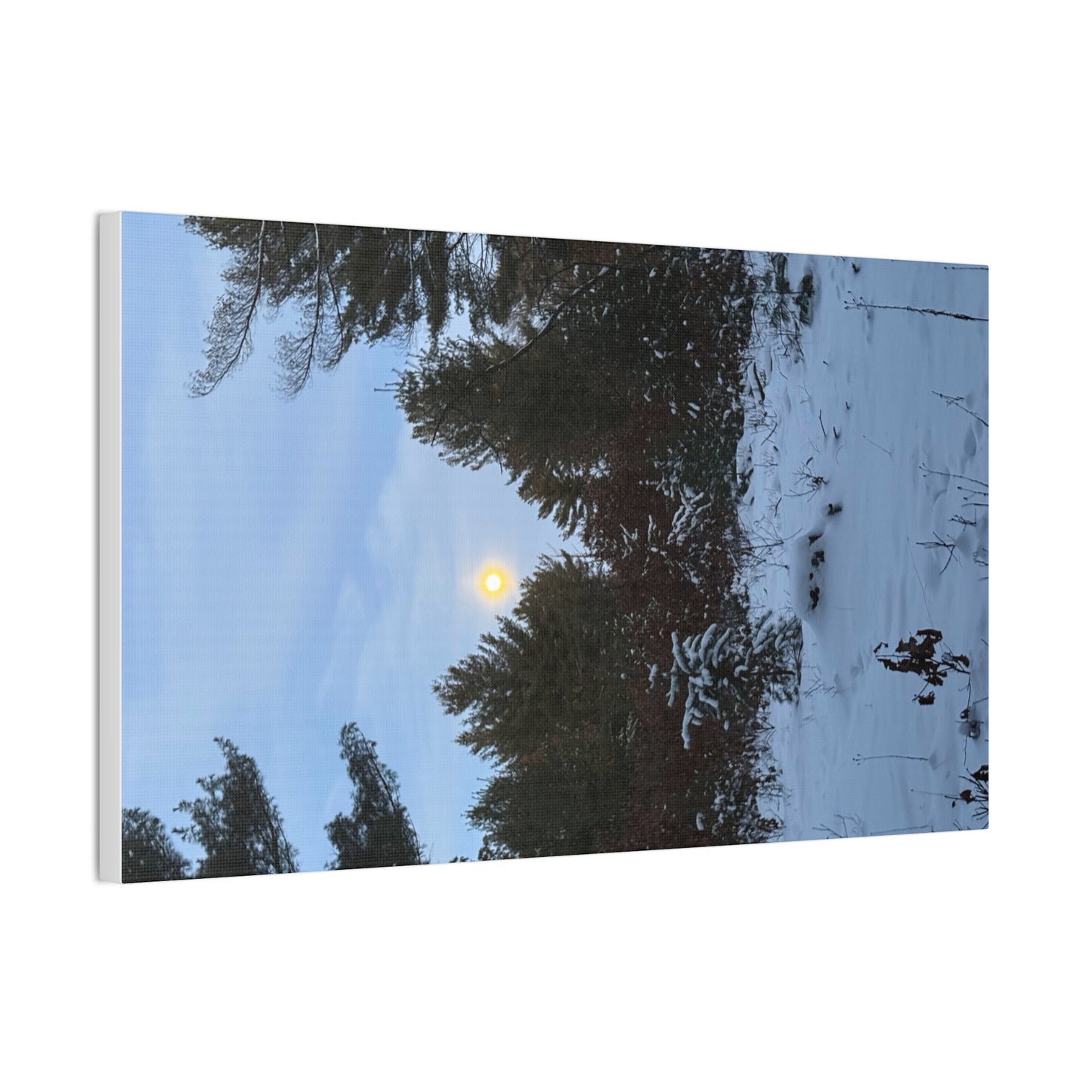 Wisconsin Adrenaline Junkies - Canvas Stretched, 0.75" - Snow