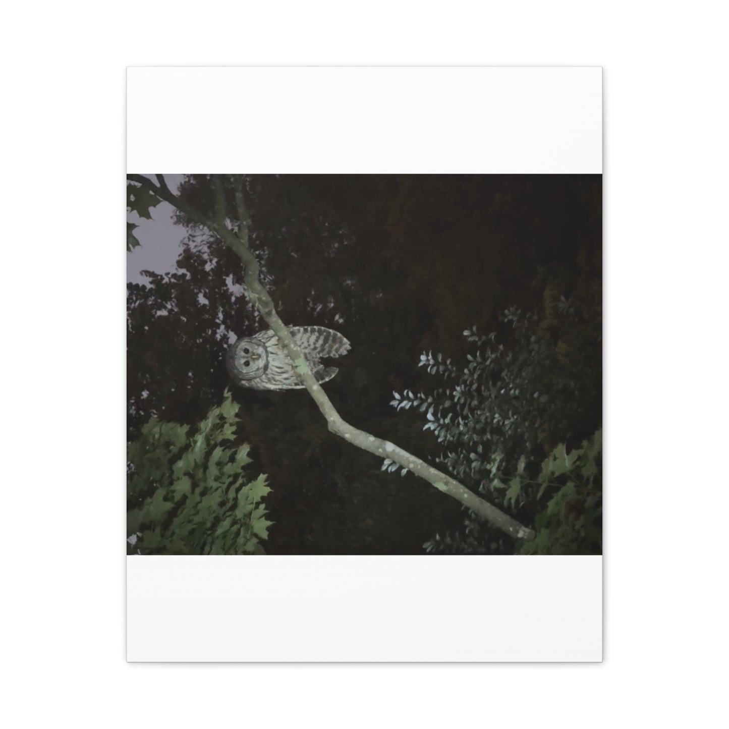 Wisconsin Adrenaline Junkies - Canvas Stretched, 0.75" - Watcher