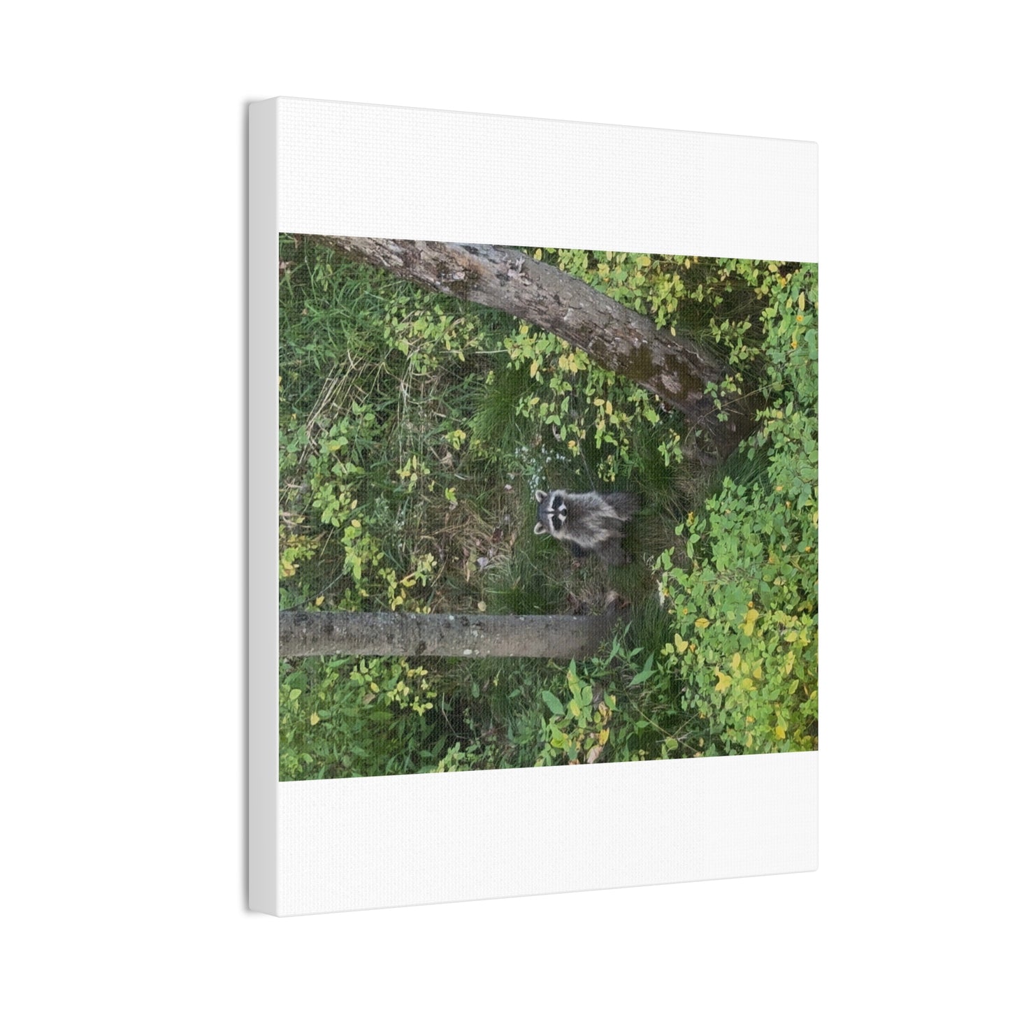 Wisconsin Adrenaline Junkies - Canvas Stretched, 0.75" - Friend