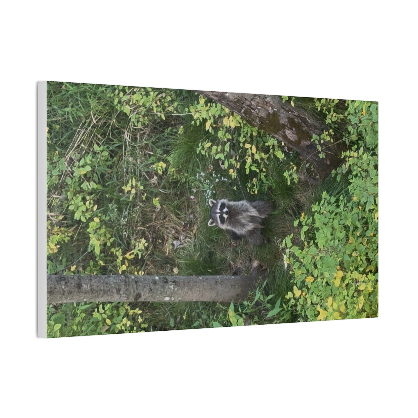 Wisconsin Adrenaline Junkies - Canvas Stretched, 0.75" - Friend