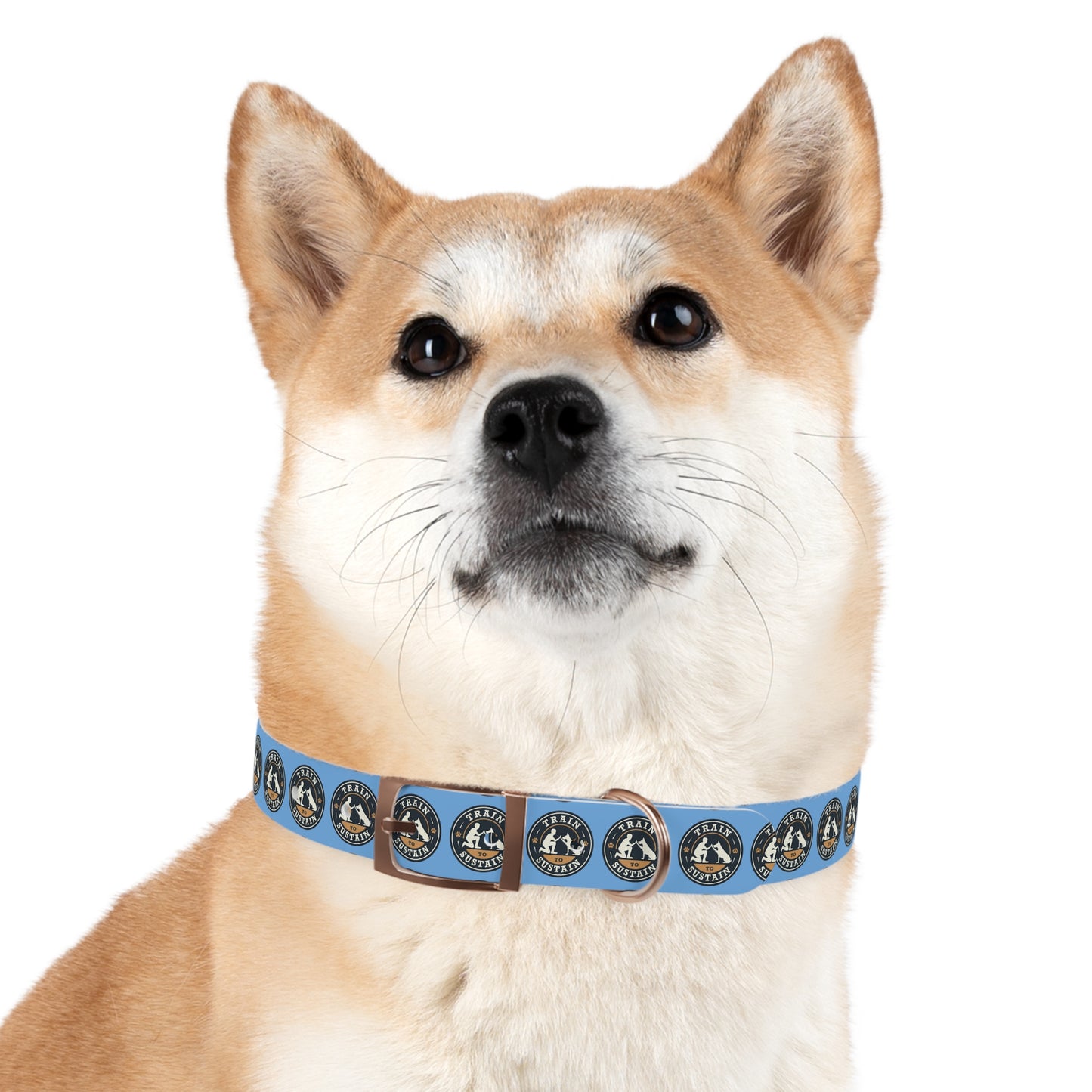 Train & Sustain - Dog Collar