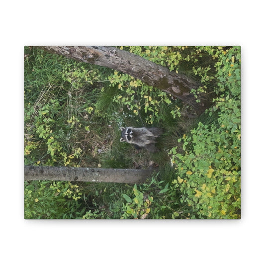 Wisconsin Adrenaline Junkies - Canvas Stretched, 0.75" - Friend