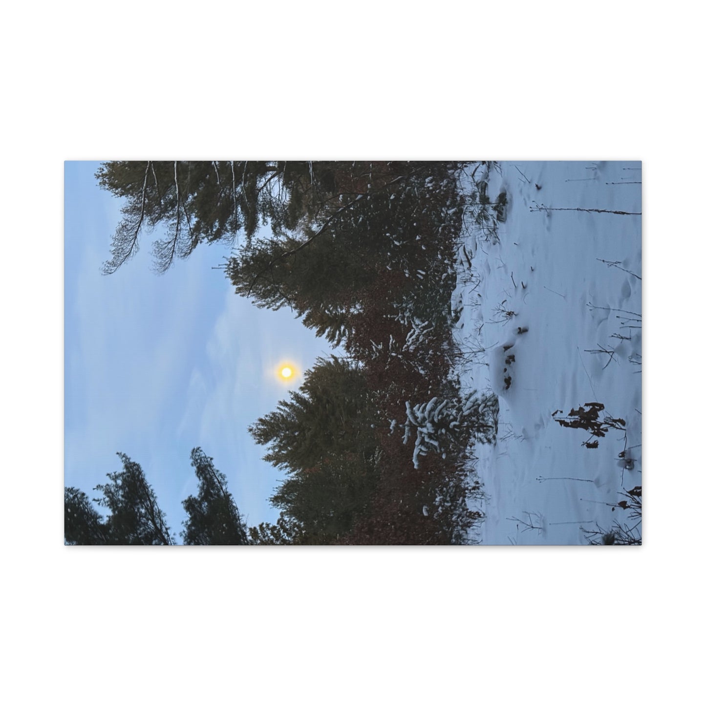 Wisconsin Adrenaline Junkies - Canvas Stretched, 0.75" - Snow
