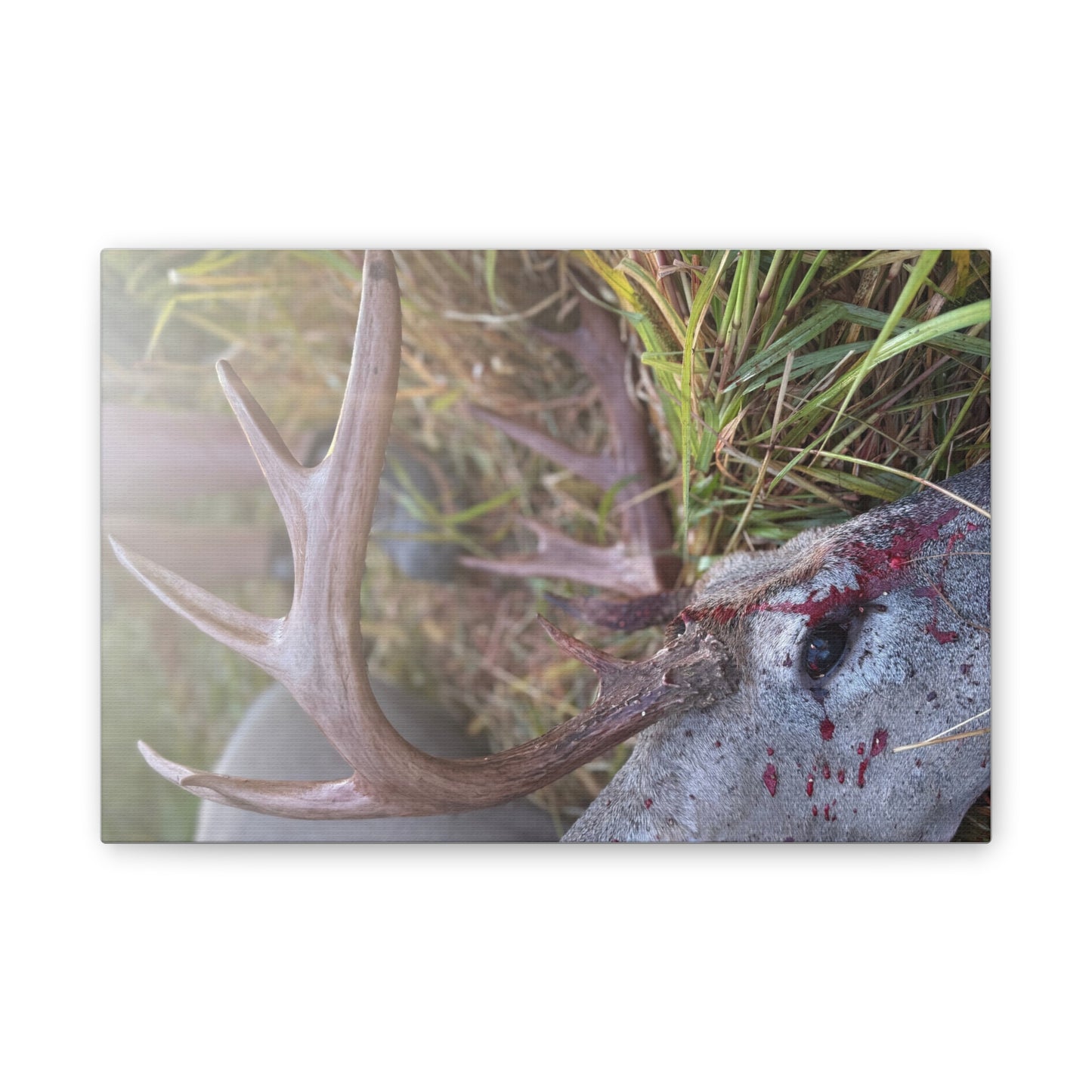 Wisconsin Adrenaline Junkies - Canvas Stretched, 0.75" - Gone
