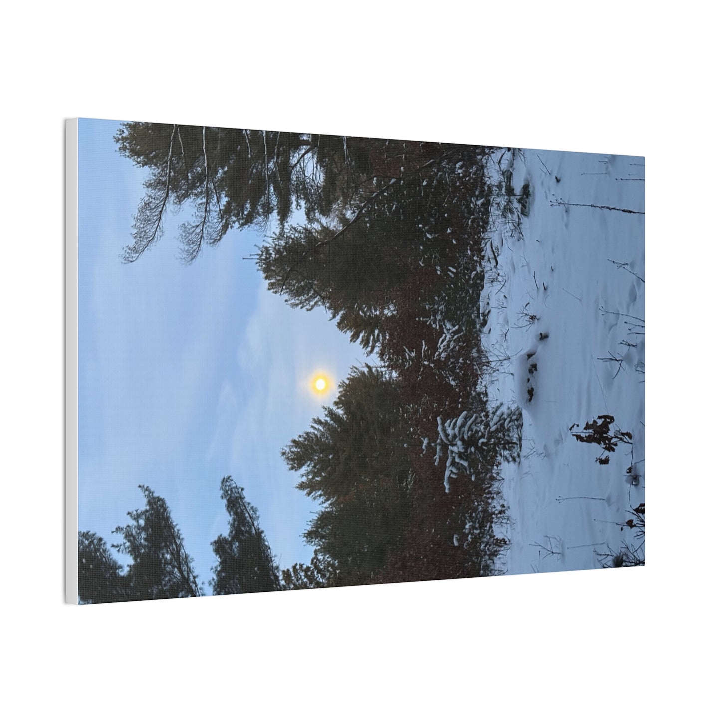 Wisconsin Adrenaline Junkies - Canvas Stretched, 0.75" - Snow
