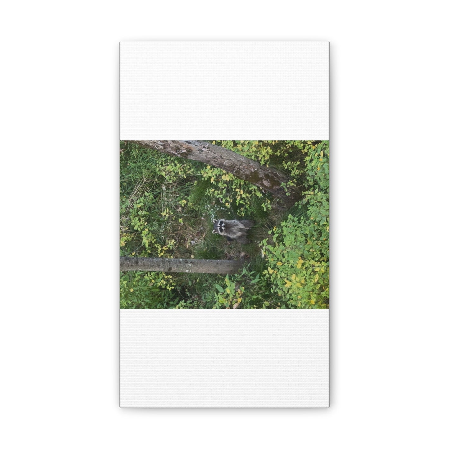 Wisconsin Adrenaline Junkies - Canvas Stretched, 0.75" - Friend