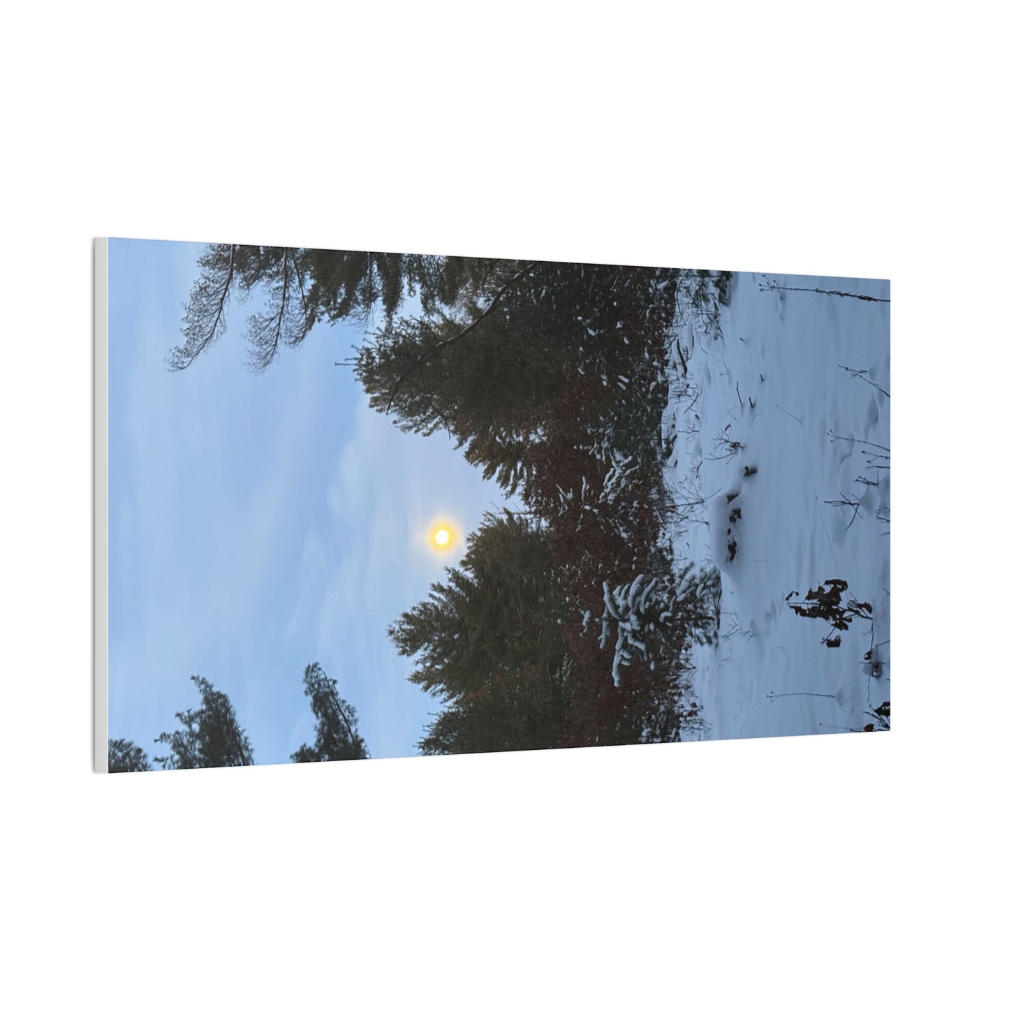 Wisconsin Adrenaline Junkies - Canvas Stretched, 0.75" - Snow