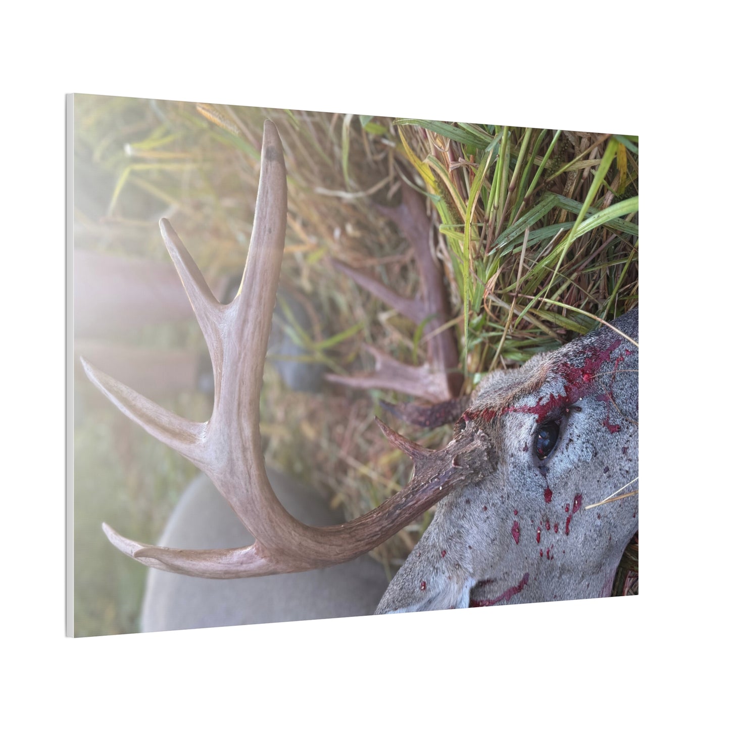 Wisconsin Adrenaline Junkies - Canvas Stretched, 0.75" - Gone