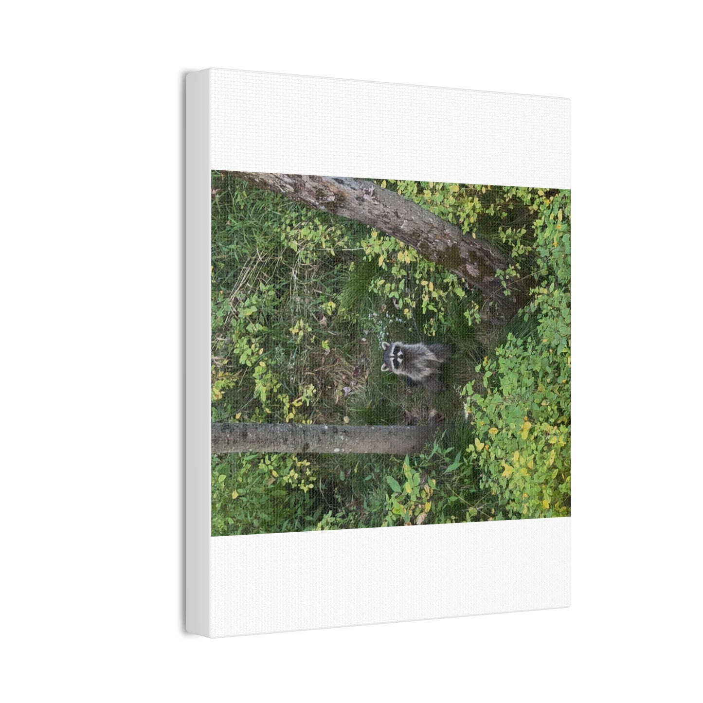 Wisconsin Adrenaline Junkies - Canvas Stretched, 0.75" - Friend