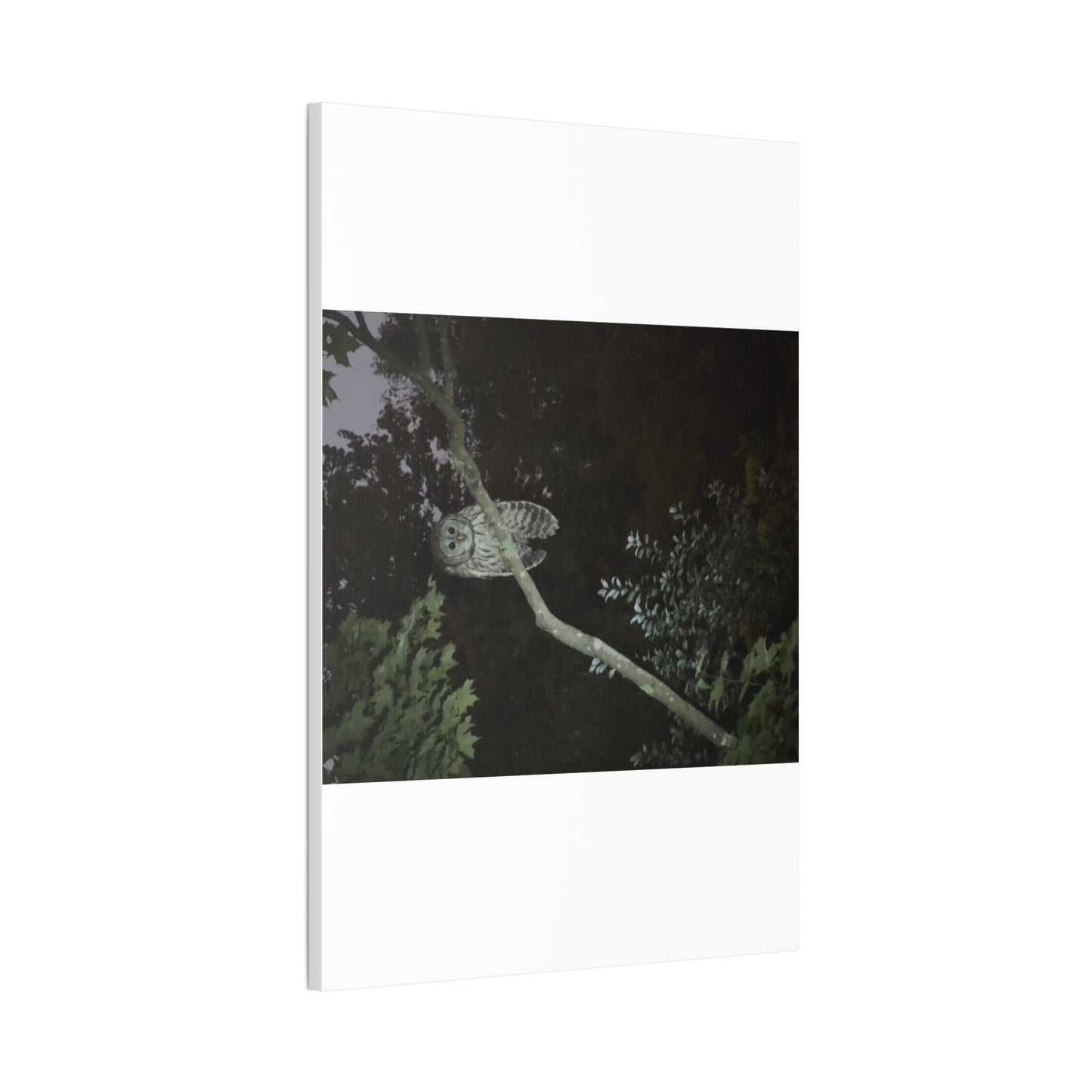 Wisconsin Adrenaline Junkies - Canvas Stretched, 0.75" - Watcher