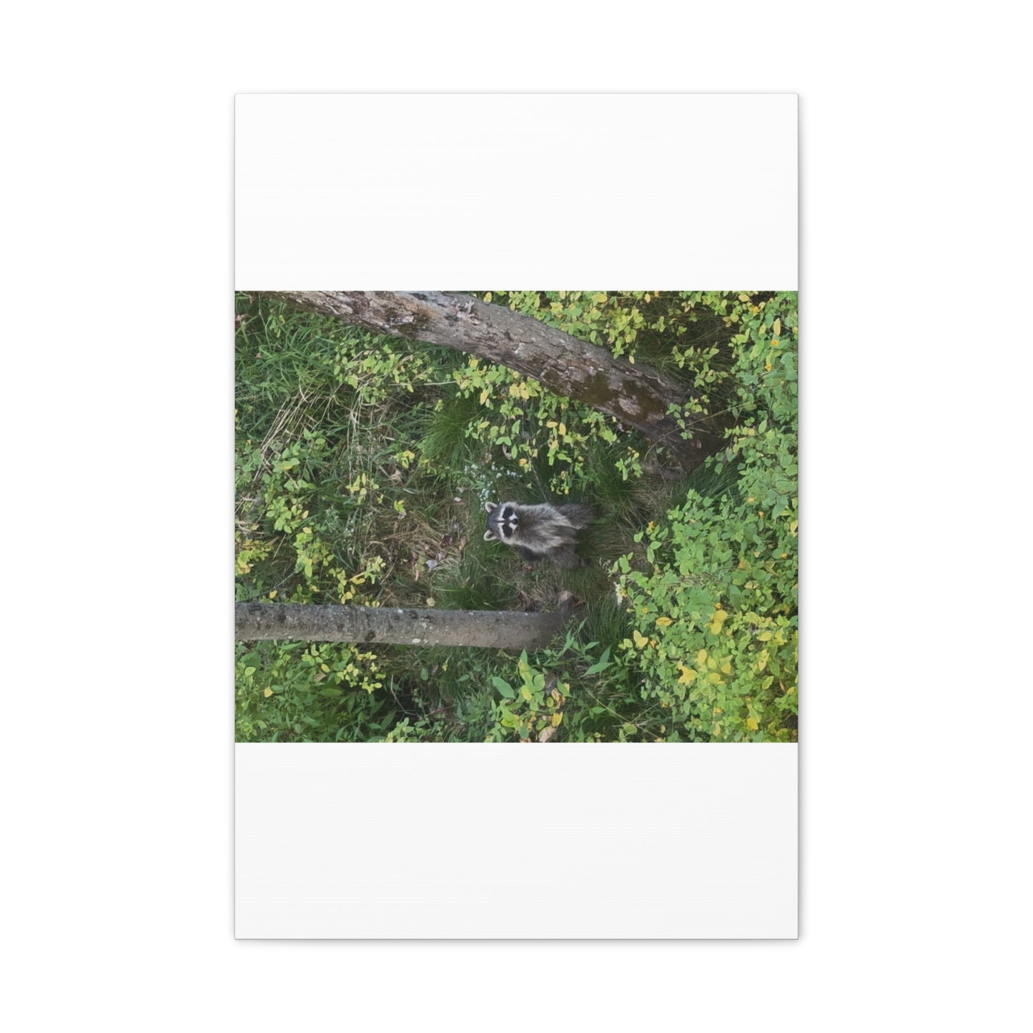 Wisconsin Adrenaline Junkies - Canvas Stretched, 0.75" - Friend