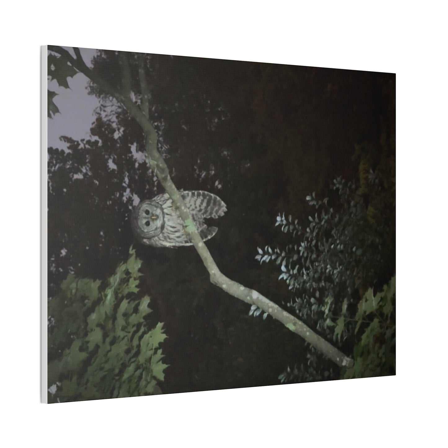 Wisconsin Adrenaline Junkies - Canvas Stretched, 0.75" - Watcher