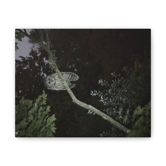 Wisconsin Adrenaline Junkies - Canvas Stretched, 0.75" - Watcher