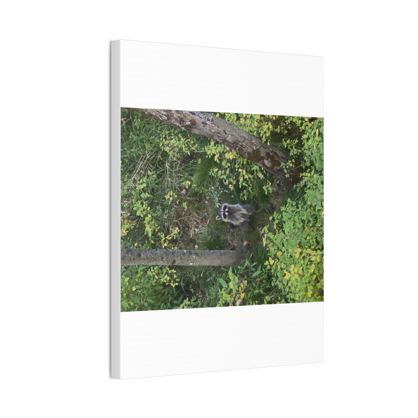 Wisconsin Adrenaline Junkies - Canvas Stretched, 0.75" - Friend