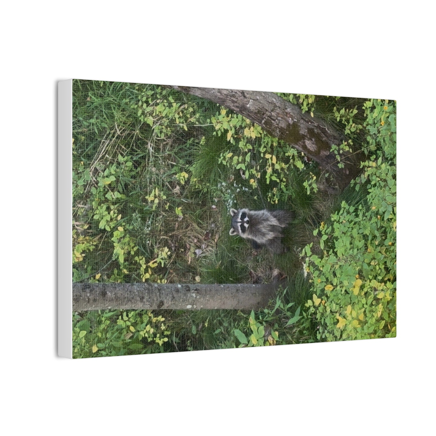 Wisconsin Adrenaline Junkies - Canvas Stretched, 0.75" - Friend