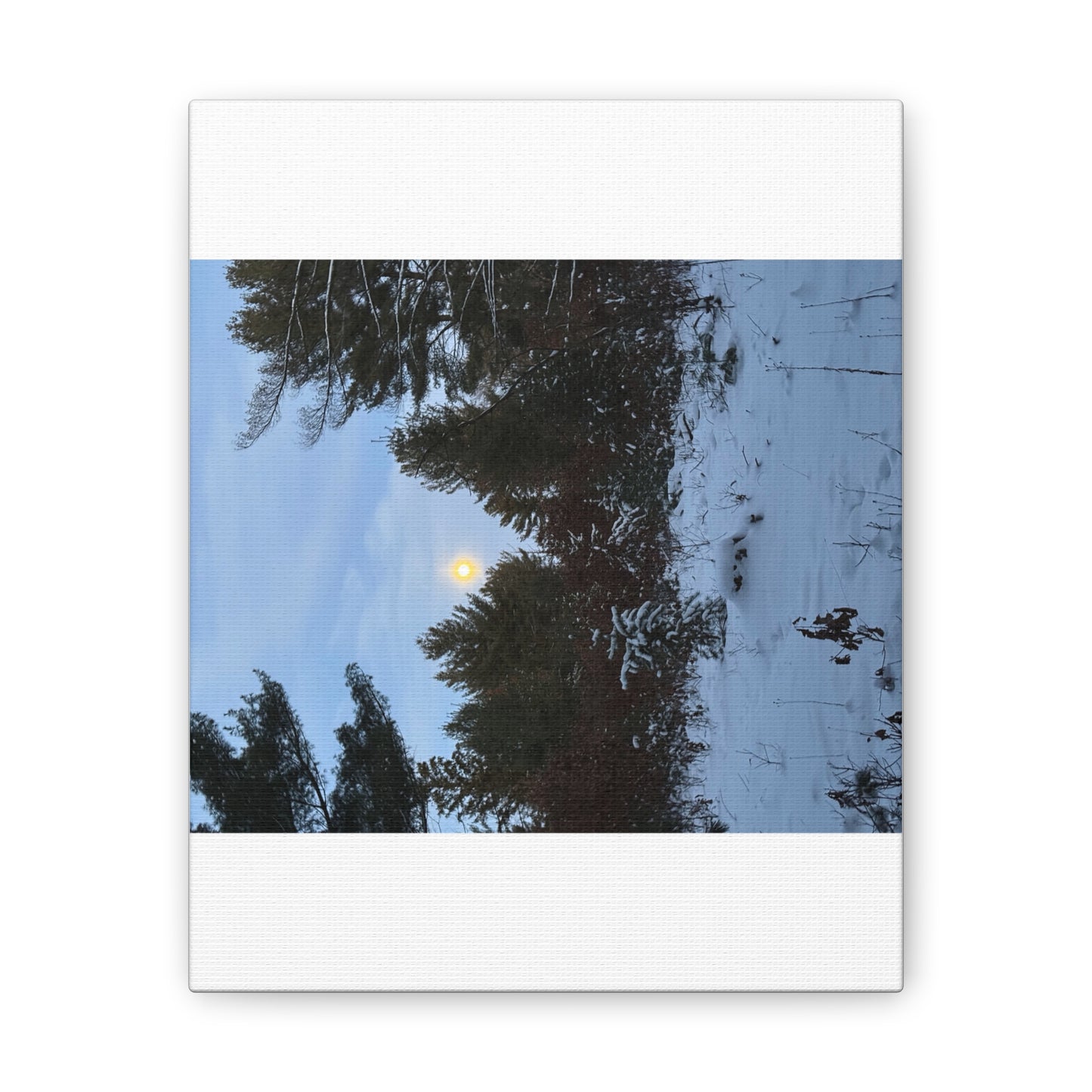 Wisconsin Adrenaline Junkies - Canvas Stretched, 0.75" - Snow