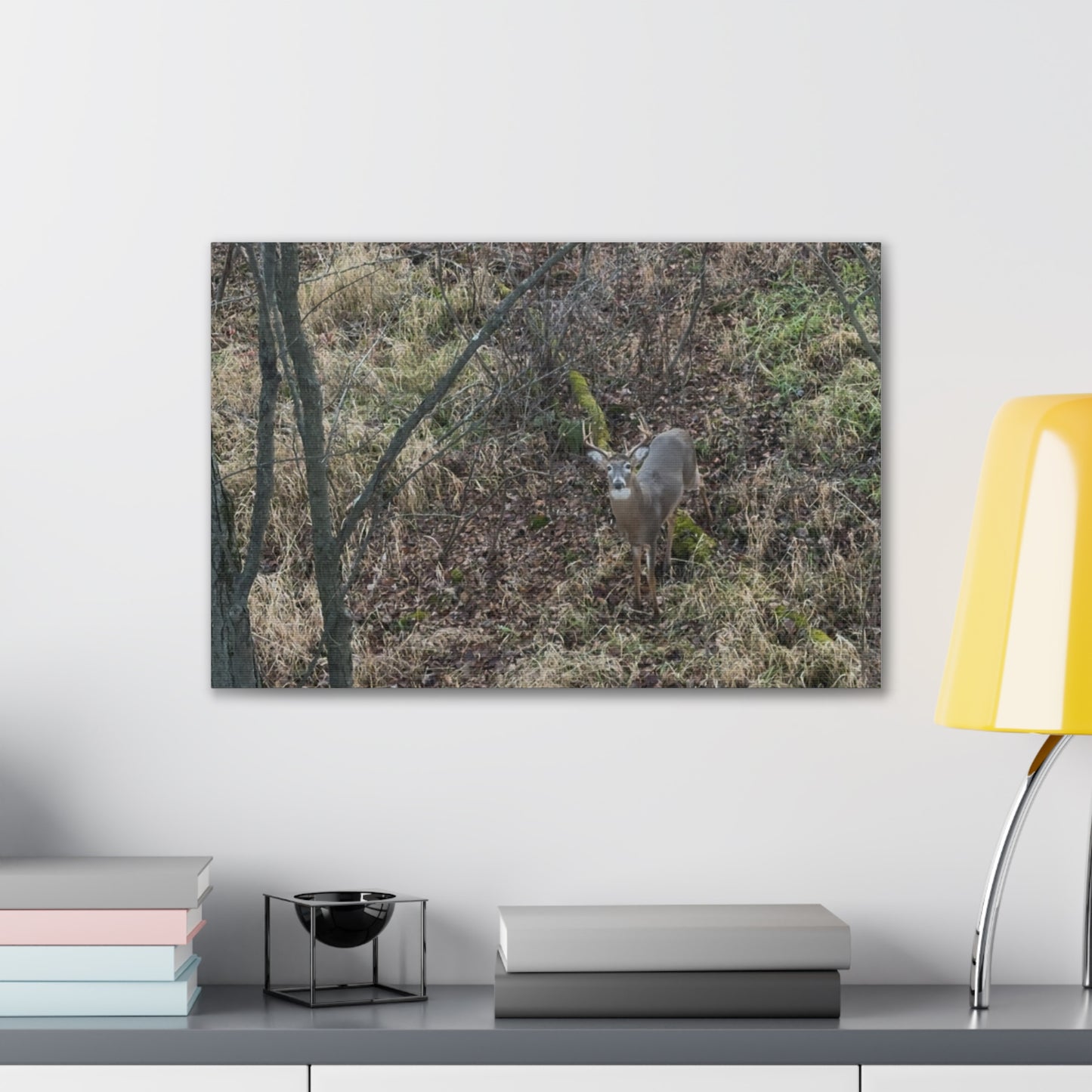 Wisconsin Adrenaline Junkies - Canvas Stretched, 0.75" - Deer
