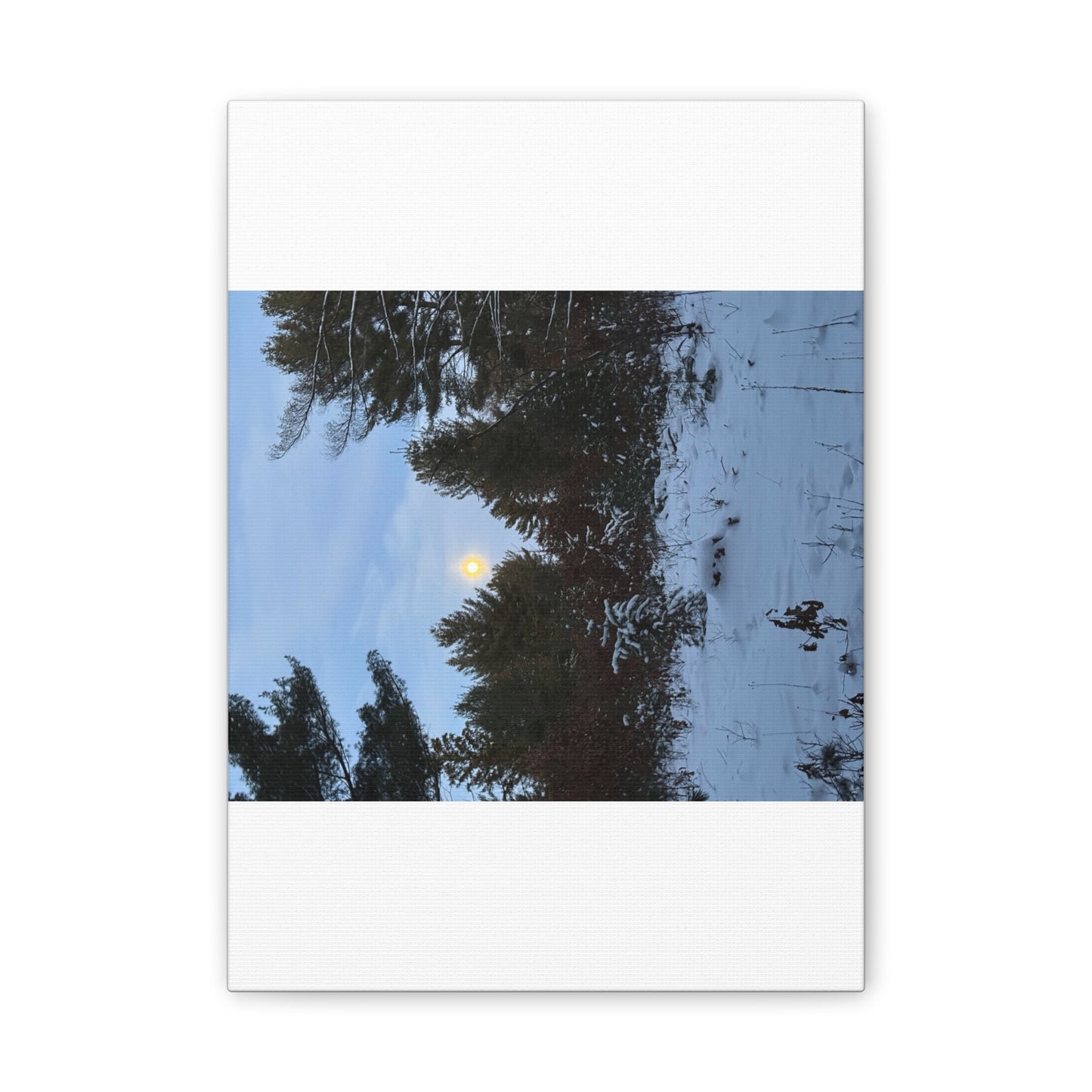Wisconsin Adrenaline Junkies - Canvas Stretched, 0.75" - Snow