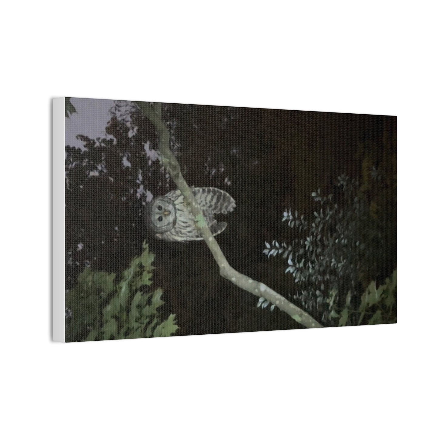 Wisconsin Adrenaline Junkies - Canvas Stretched, 0.75" - Watcher
