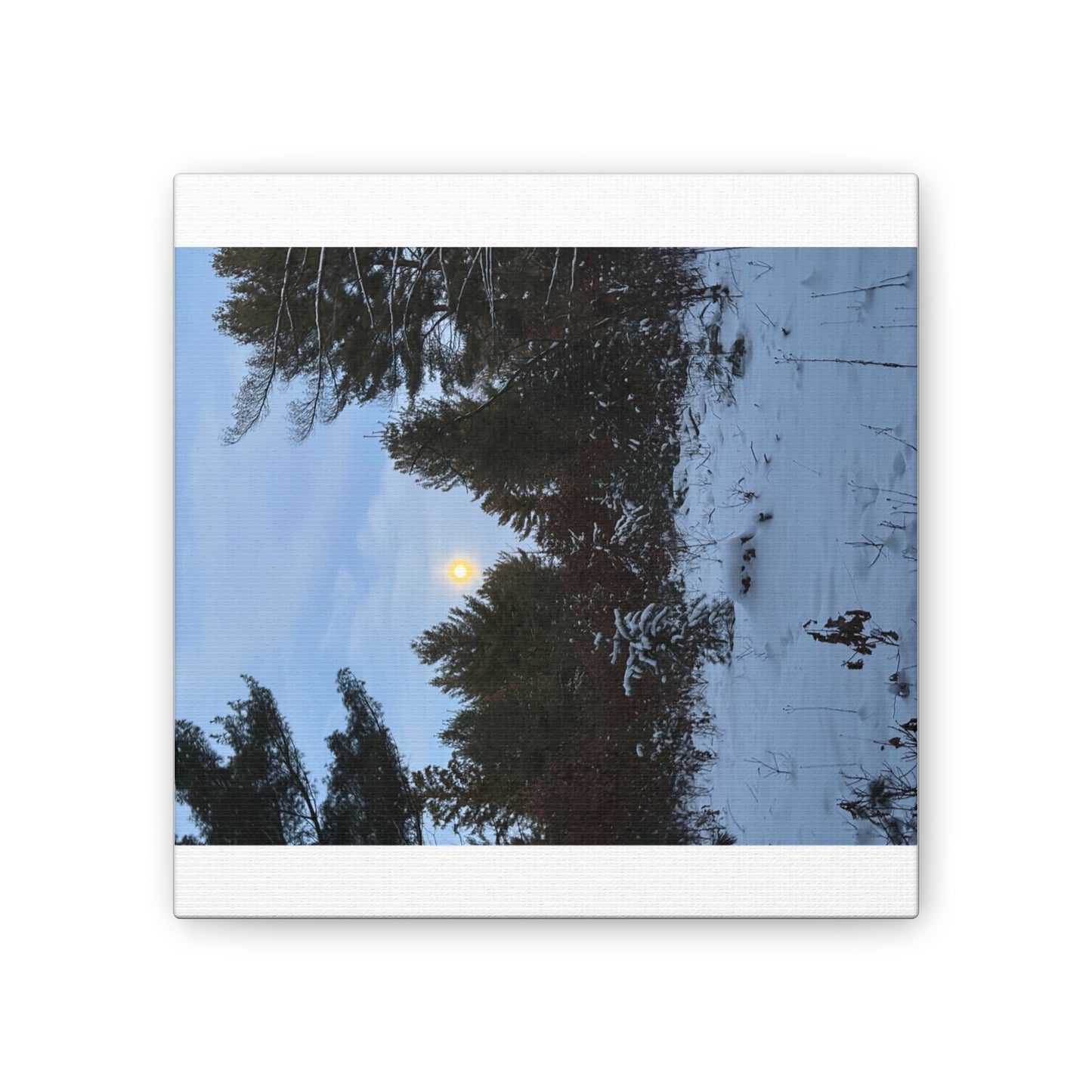 Wisconsin Adrenaline Junkies - Canvas Stretched, 0.75" - Snow