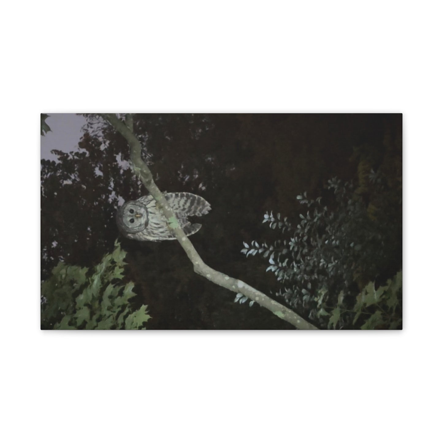 Wisconsin Adrenaline Junkies - Canvas Stretched, 0.75" - Watcher