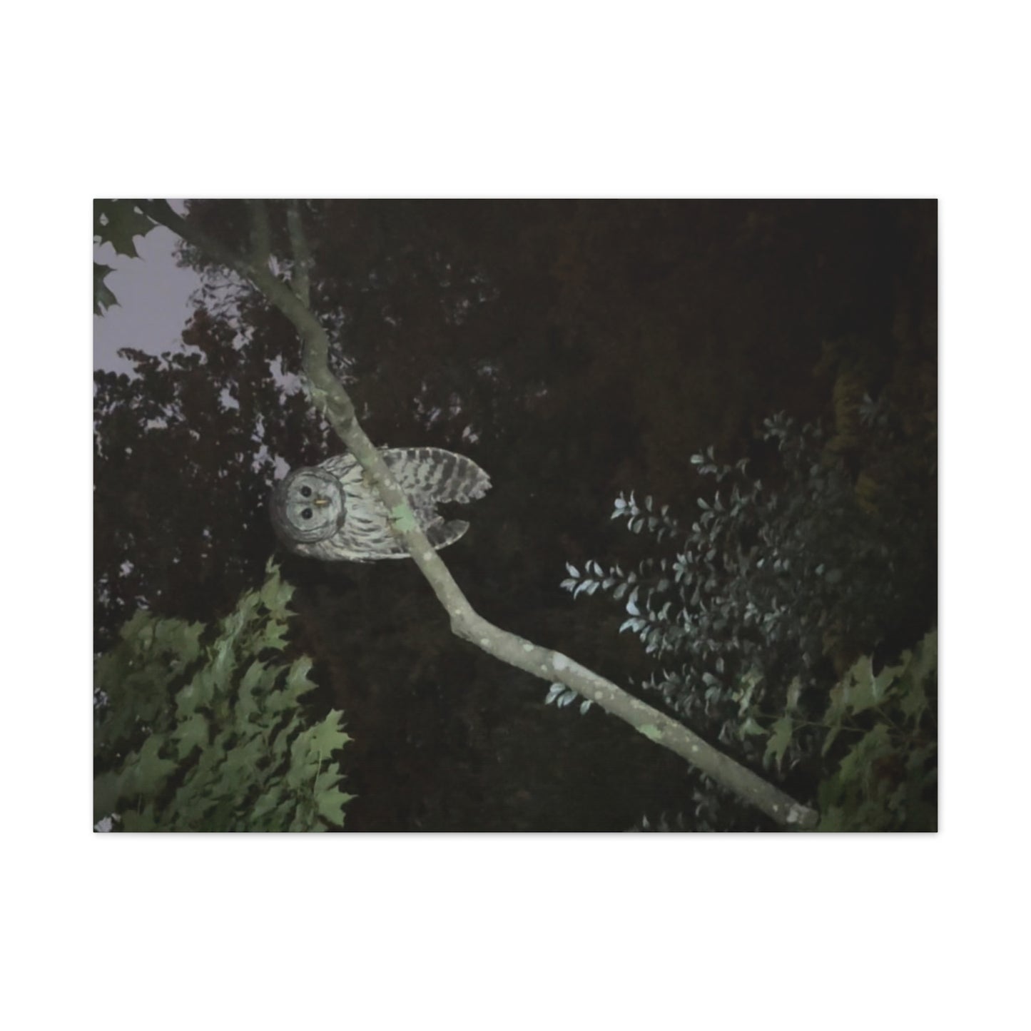 Wisconsin Adrenaline Junkies - Canvas Stretched, 0.75" - Watcher