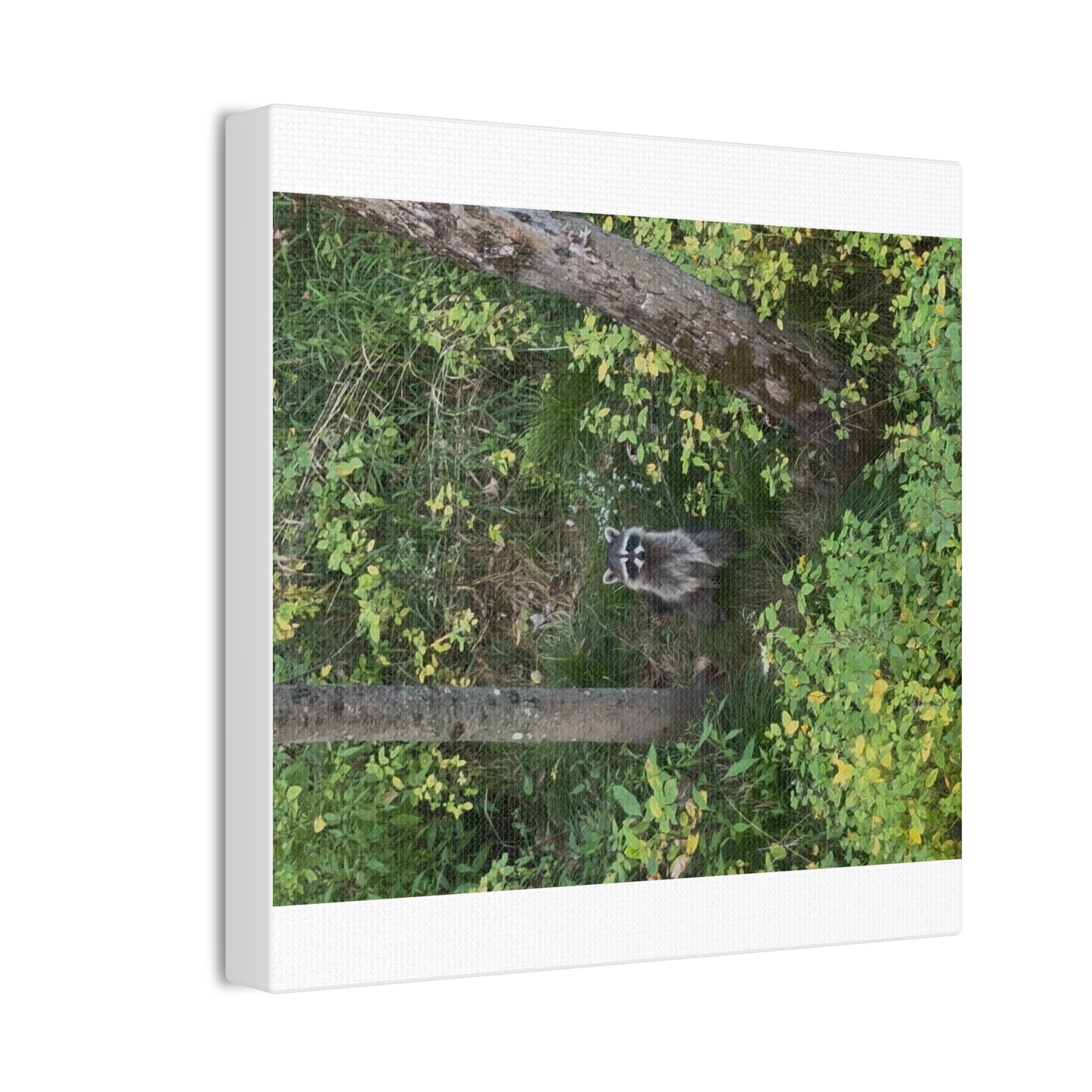 Wisconsin Adrenaline Junkies - Canvas Stretched, 0.75" - Friend