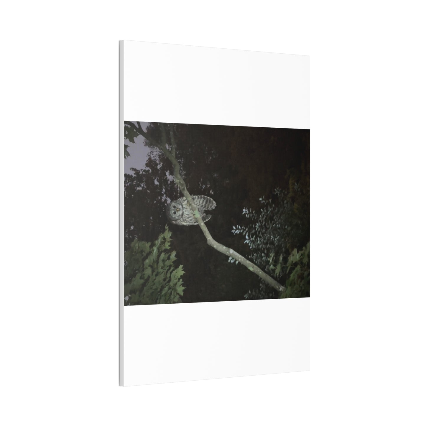 Wisconsin Adrenaline Junkies - Canvas Stretched, 0.75" - Watcher