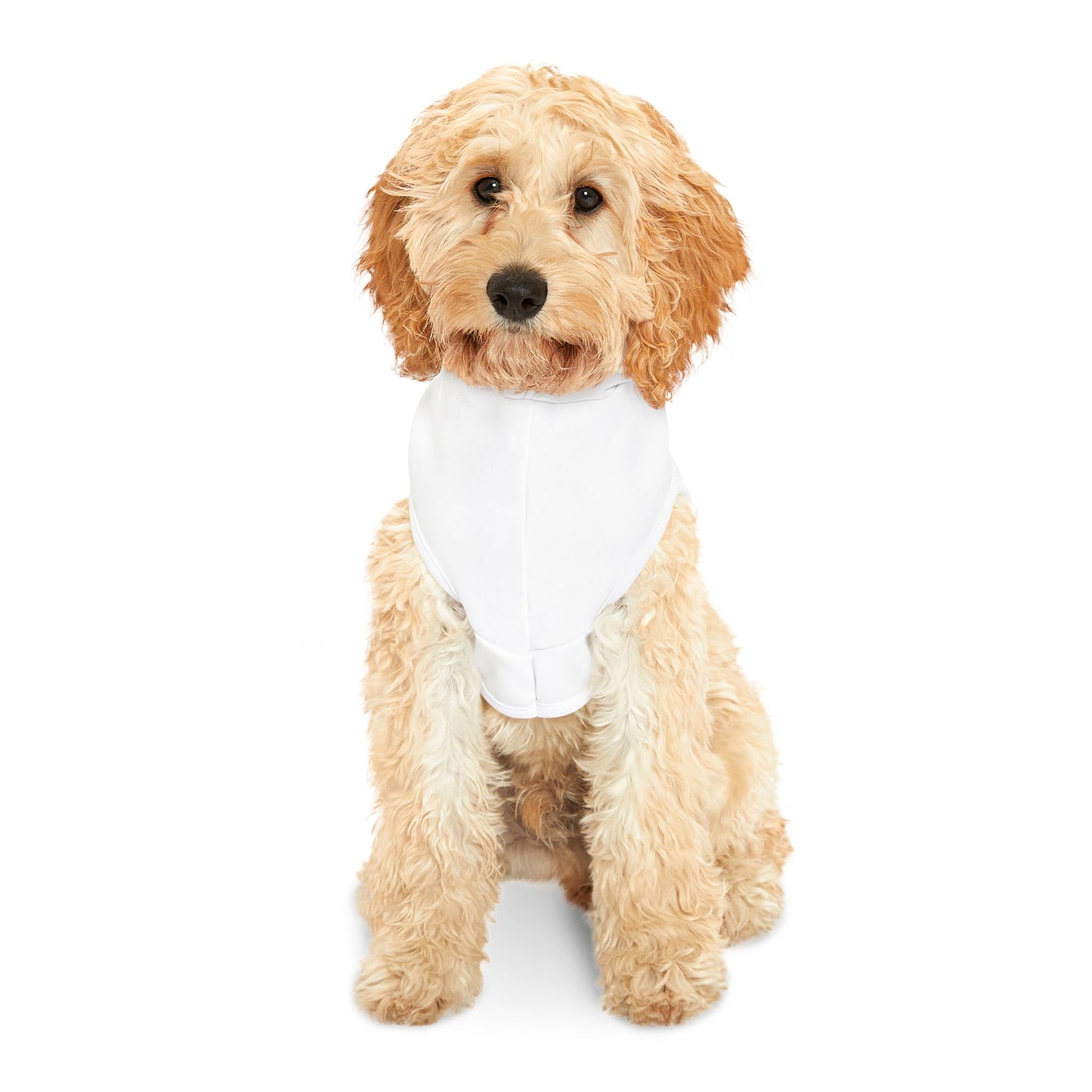 Funny Dog Hoodie - I Teach My Owners | Cozy Pet Apparel