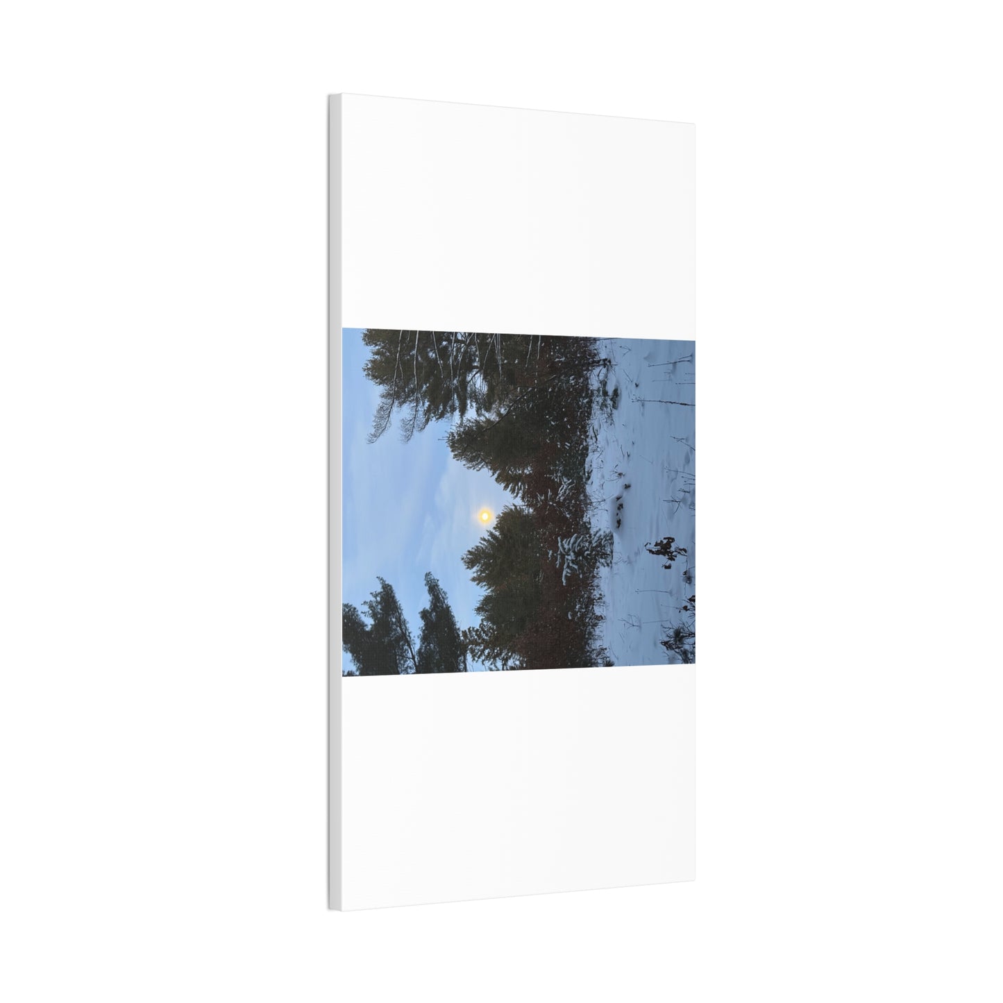 Wisconsin Adrenaline Junkies - Canvas Stretched, 0.75" - Snow
