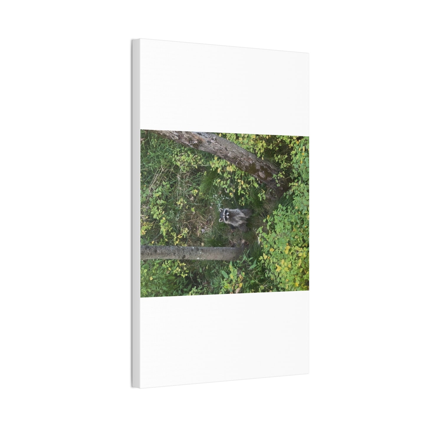 Wisconsin Adrenaline Junkies - Canvas Stretched, 0.75" - Friend