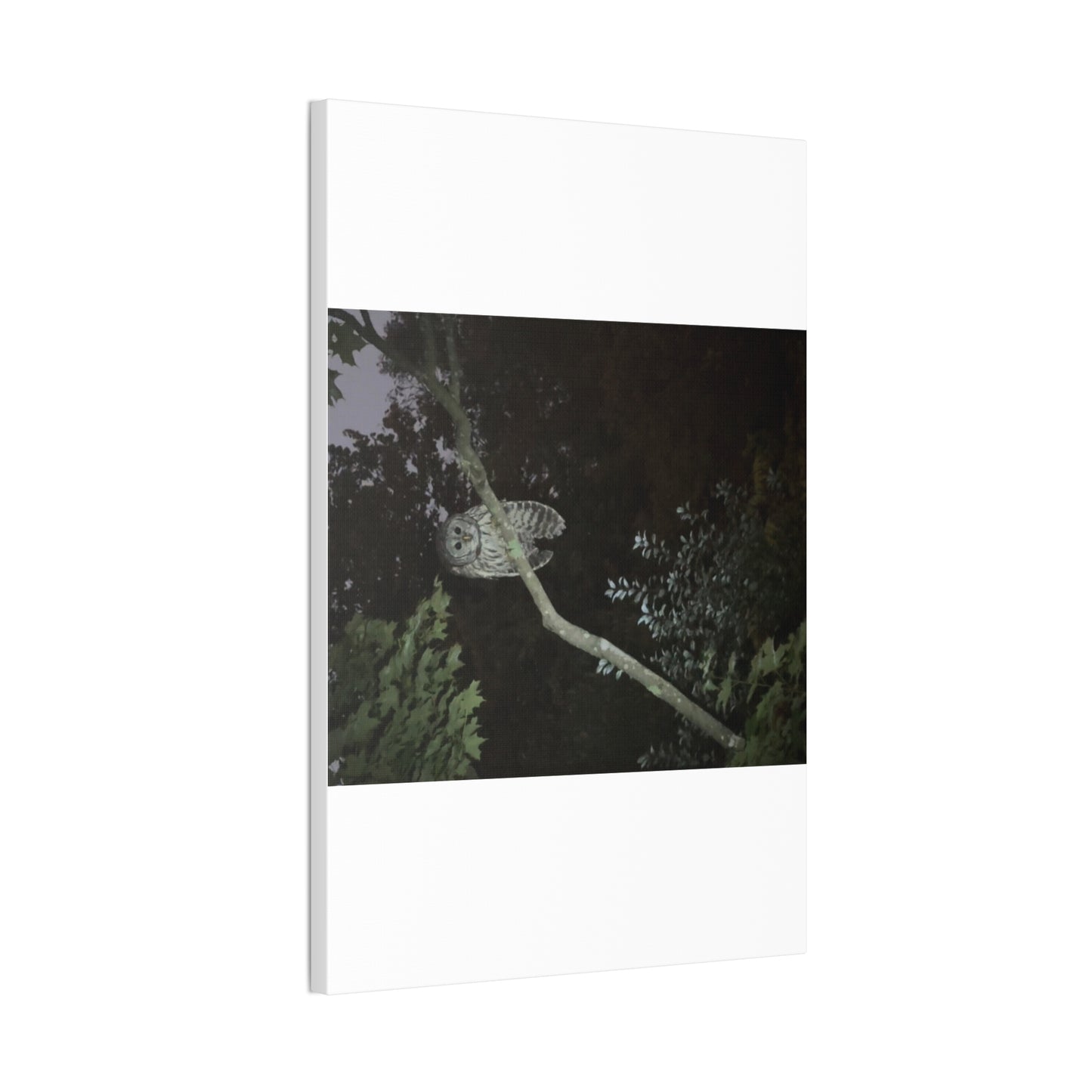 Wisconsin Adrenaline Junkies - Canvas Stretched, 0.75" - Watcher