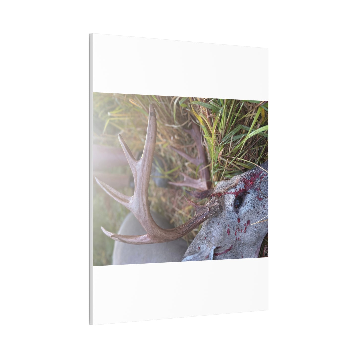 Wisconsin Adrenaline Junkies - Canvas Stretched, 0.75" - Gone