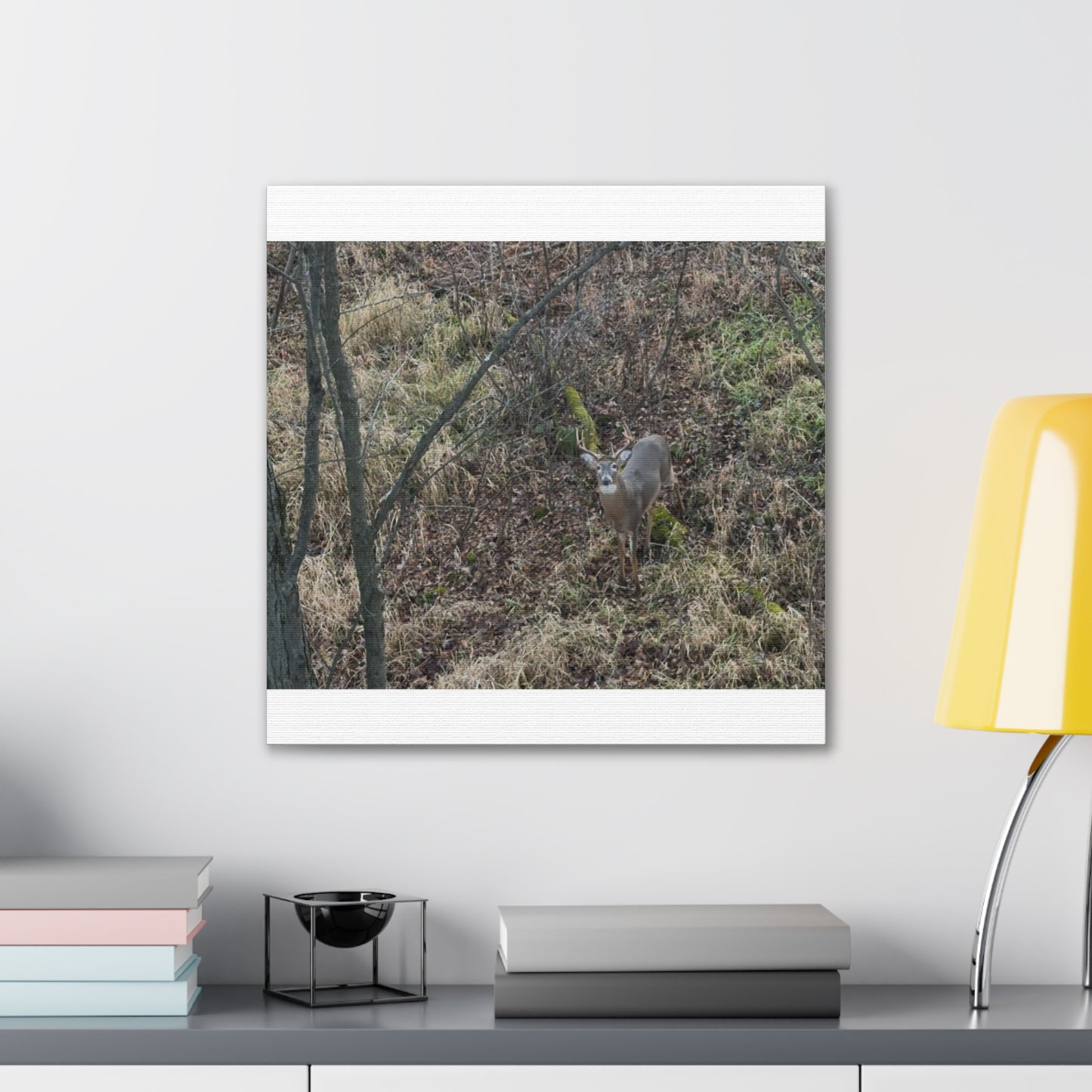 Wisconsin Adrenaline Junkies - Canvas Stretched, 0.75" - Deer