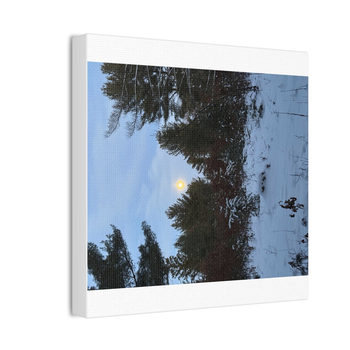 Wisconsin Adrenaline Junkies - Canvas Stretched, 0.75" - Snow