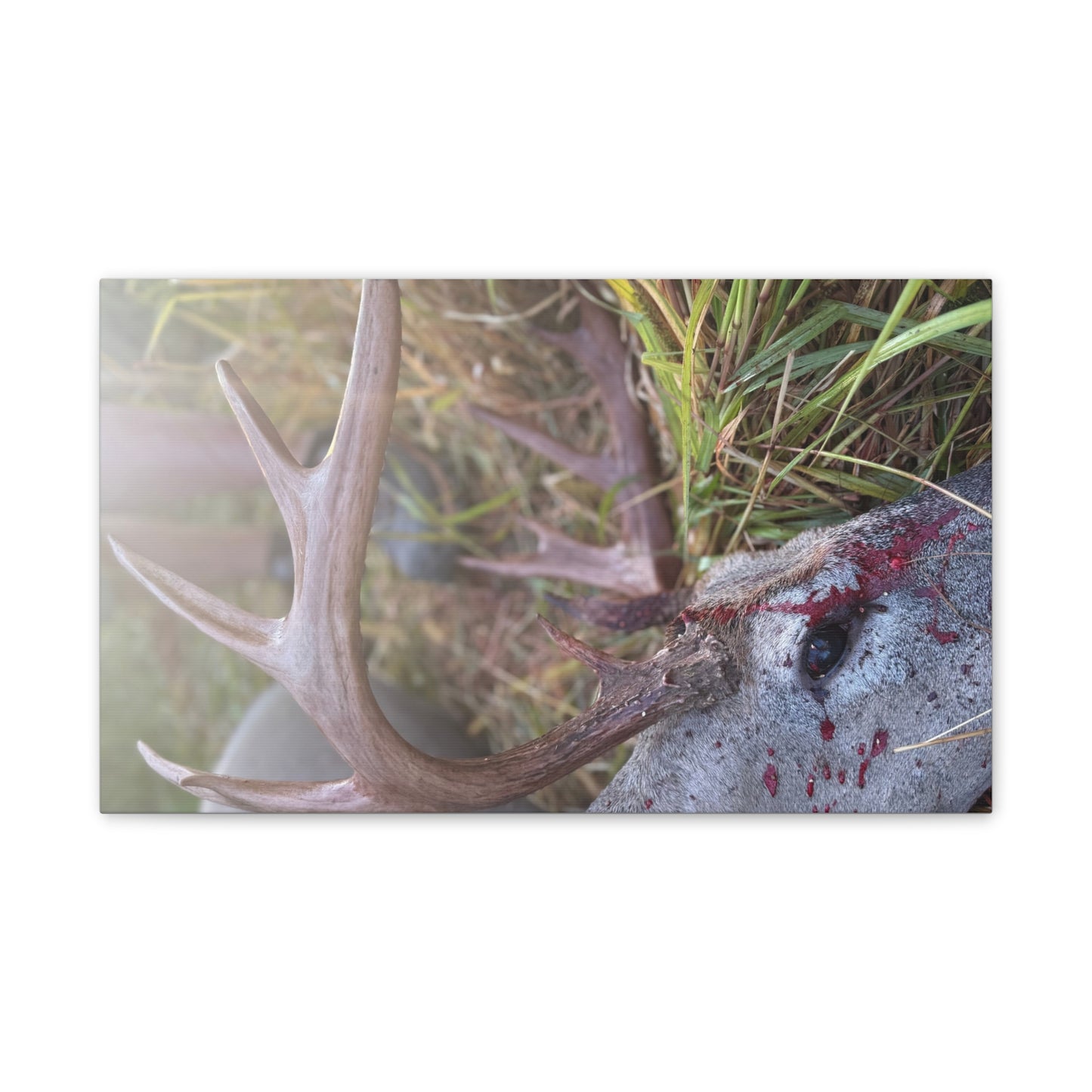 Wisconsin Adrenaline Junkies - Canvas Stretched, 0.75" - Gone