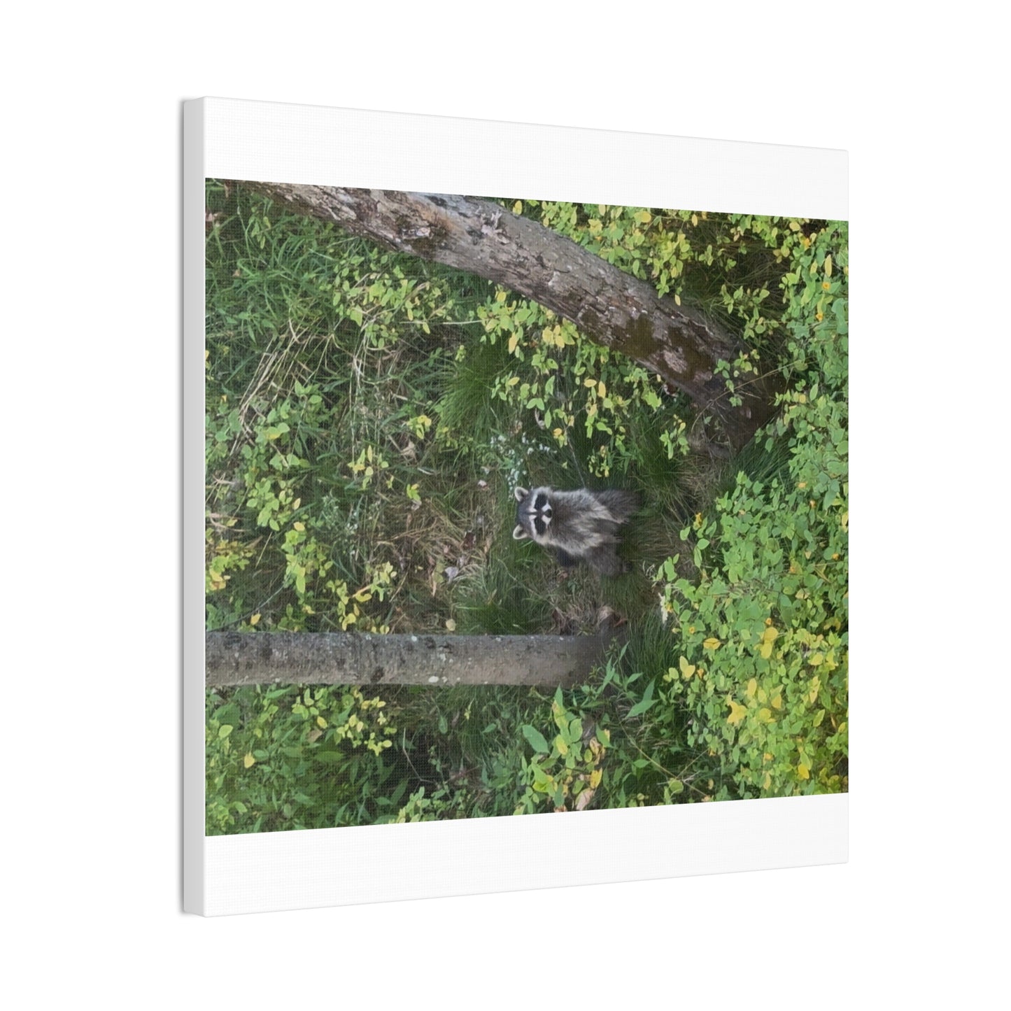 Wisconsin Adrenaline Junkies - Canvas Stretched, 0.75" - Friend