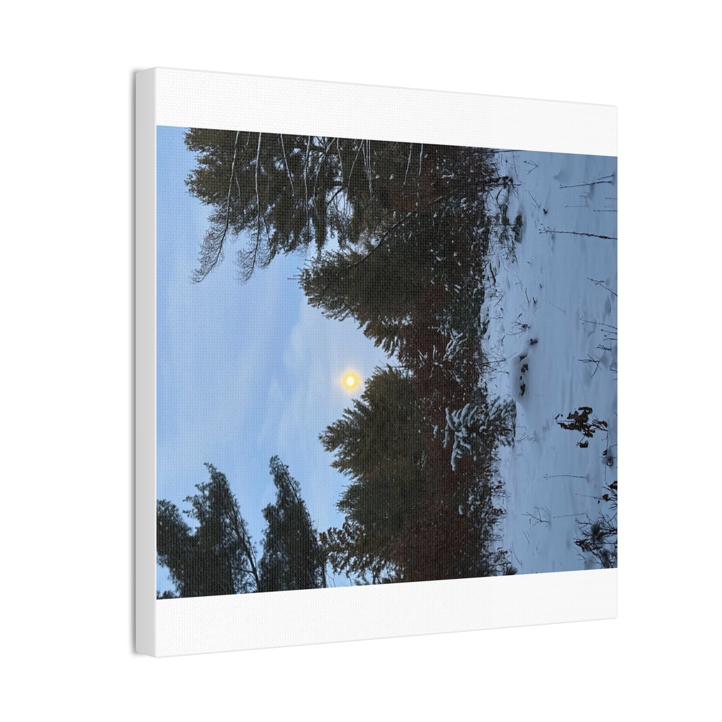 Wisconsin Adrenaline Junkies - Canvas Stretched, 0.75" - Snow