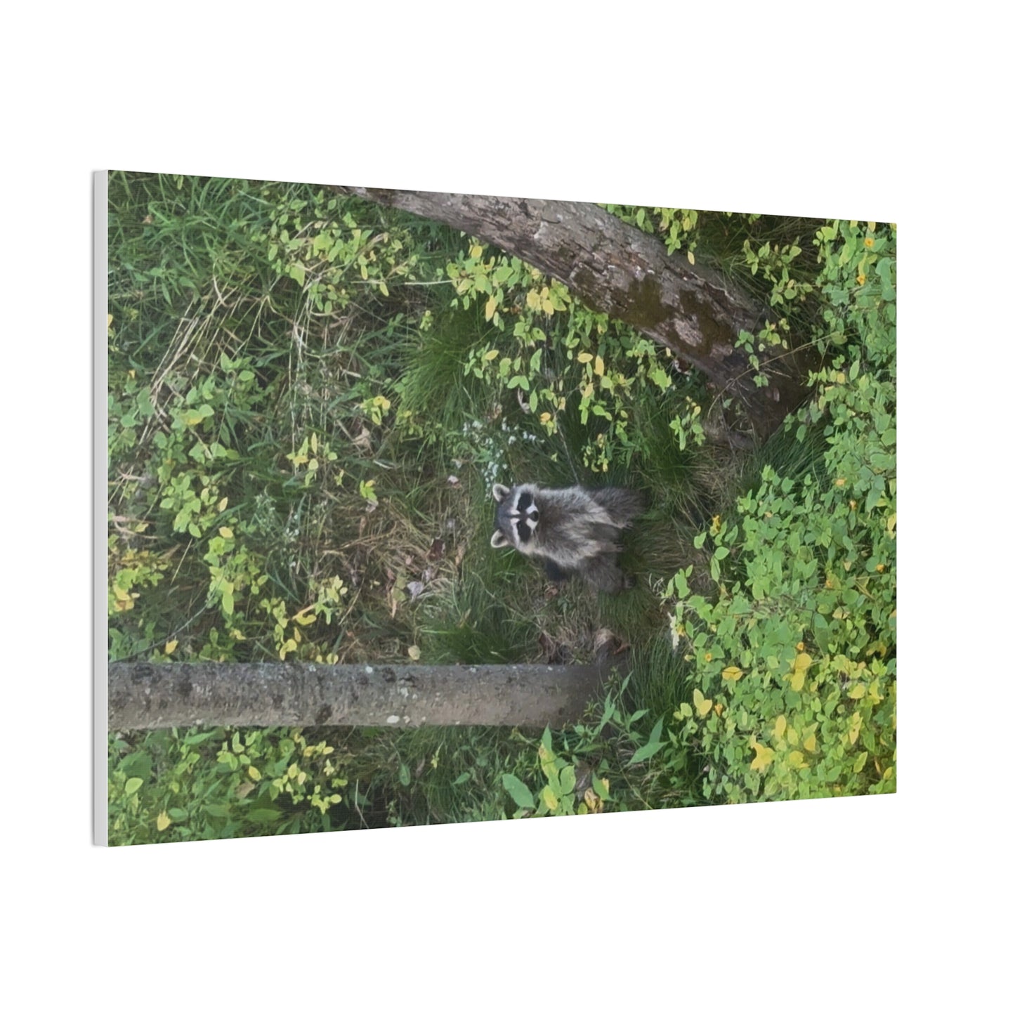 Wisconsin Adrenaline Junkies - Canvas Stretched, 0.75" - Friend