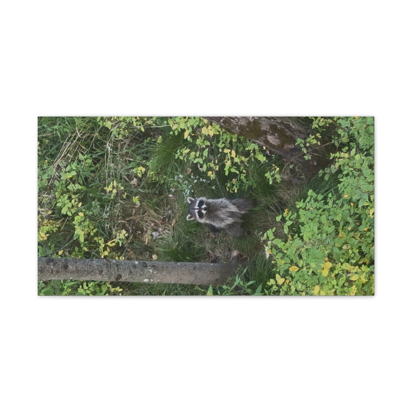 Wisconsin Adrenaline Junkies - Canvas Stretched, 0.75" - Friend