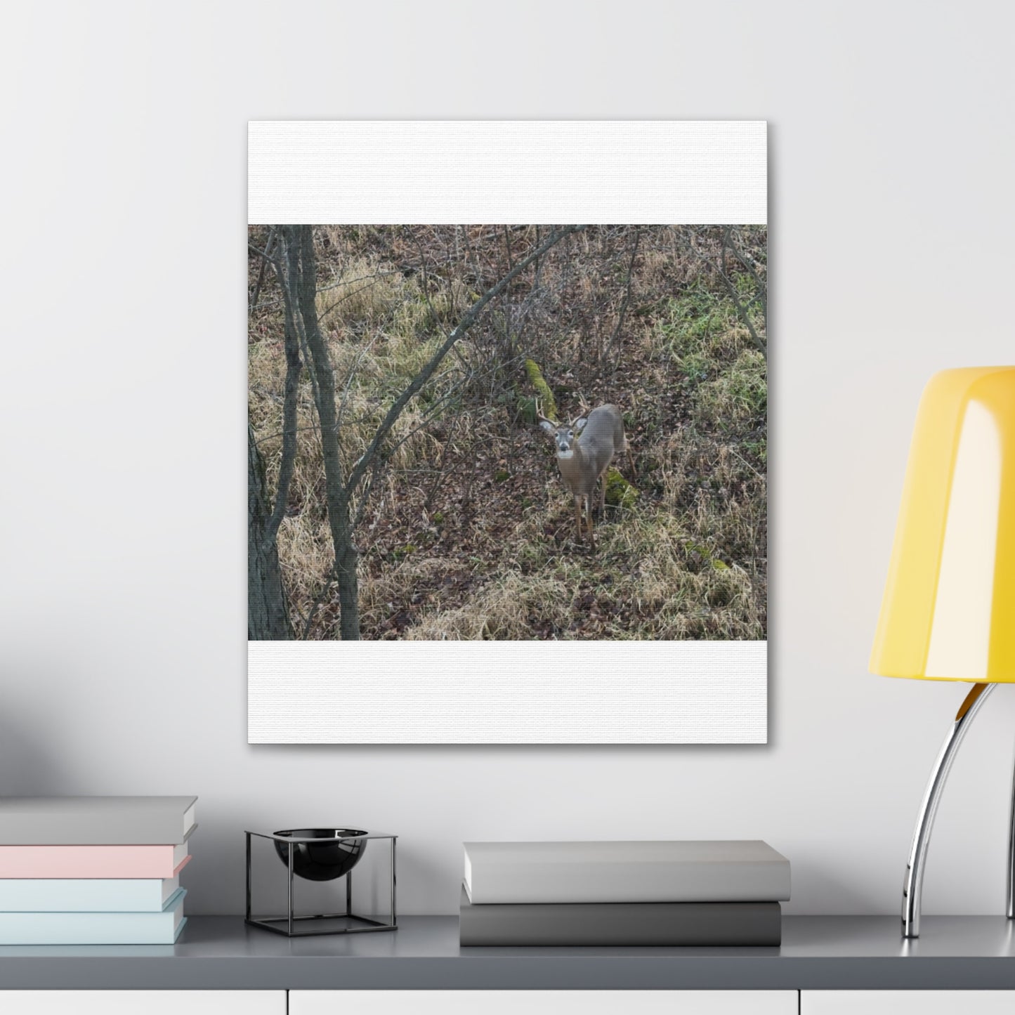 Wisconsin Adrenaline Junkies - Canvas Stretched, 0.75" - Deer