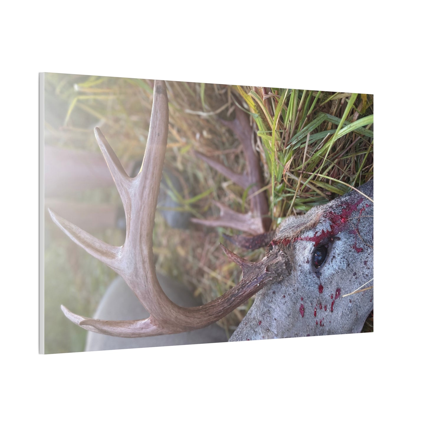 Wisconsin Adrenaline Junkies - Canvas Stretched, 0.75" - Gone