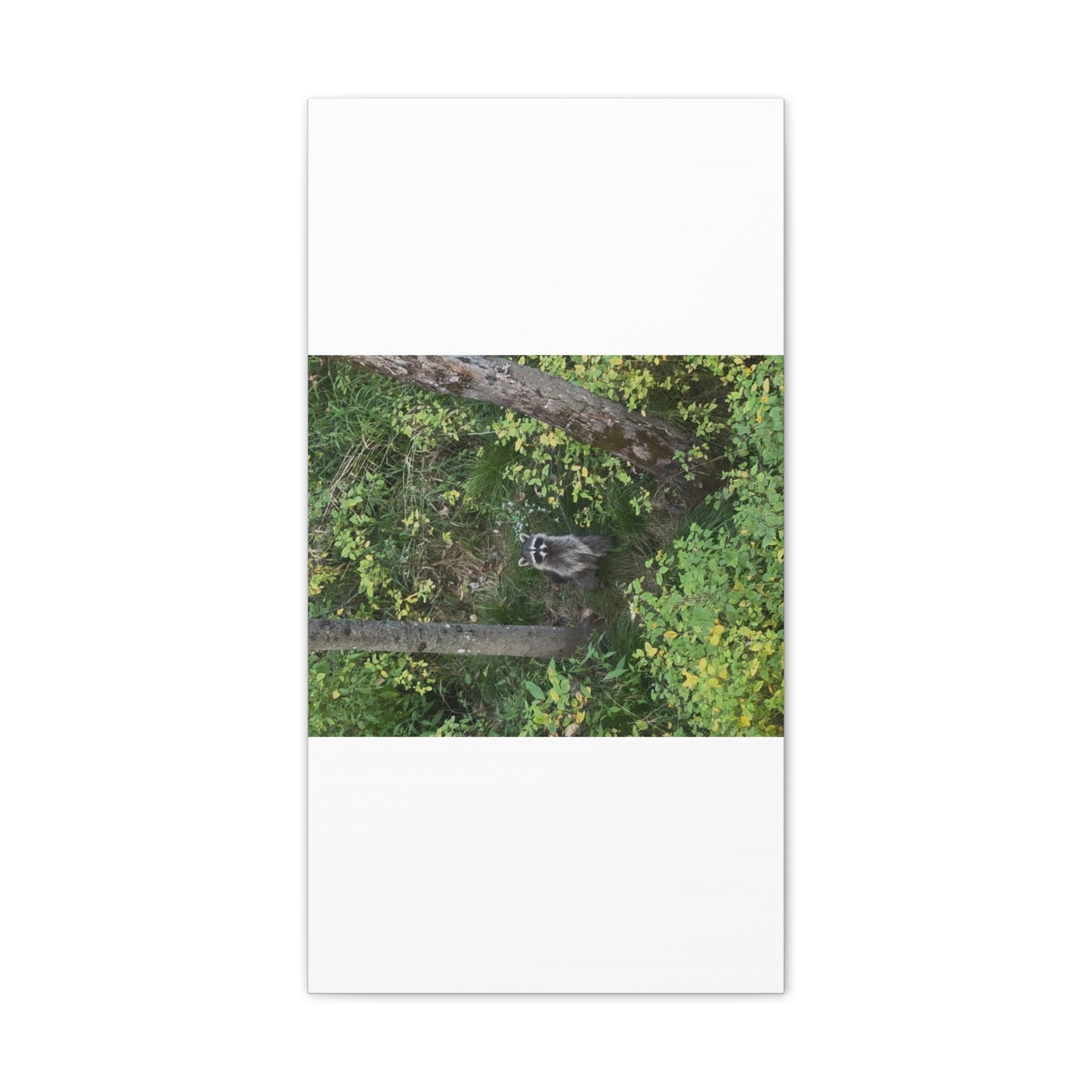 Wisconsin Adrenaline Junkies - Canvas Stretched, 0.75" - Friend