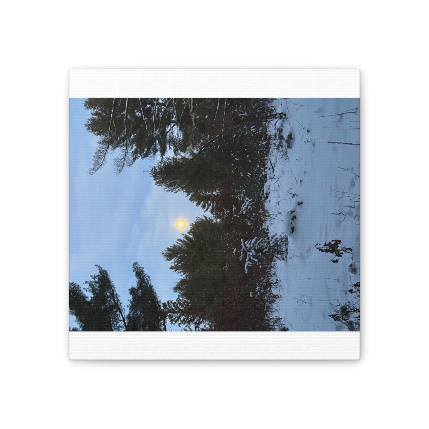 Wisconsin Adrenaline Junkies - Canvas Stretched, 0.75" - Snow