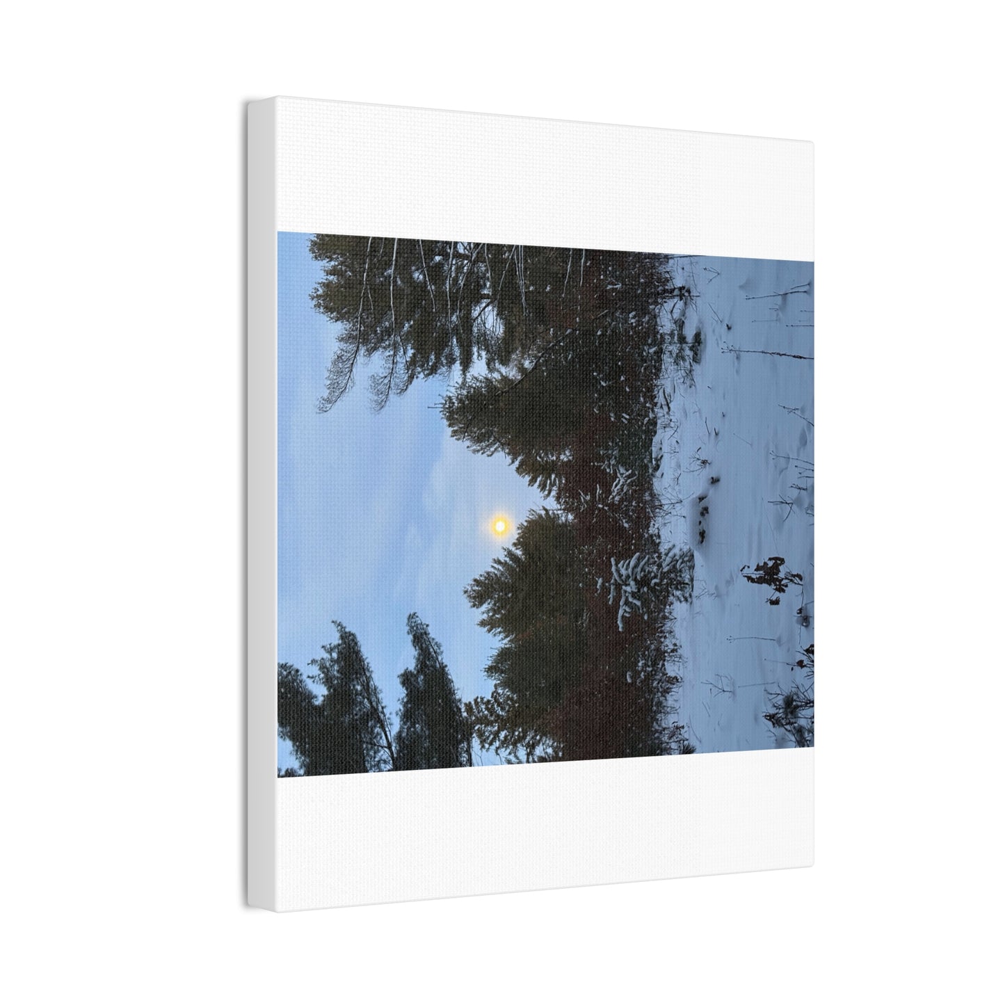 Wisconsin Adrenaline Junkies - Canvas Stretched, 0.75" - Snow