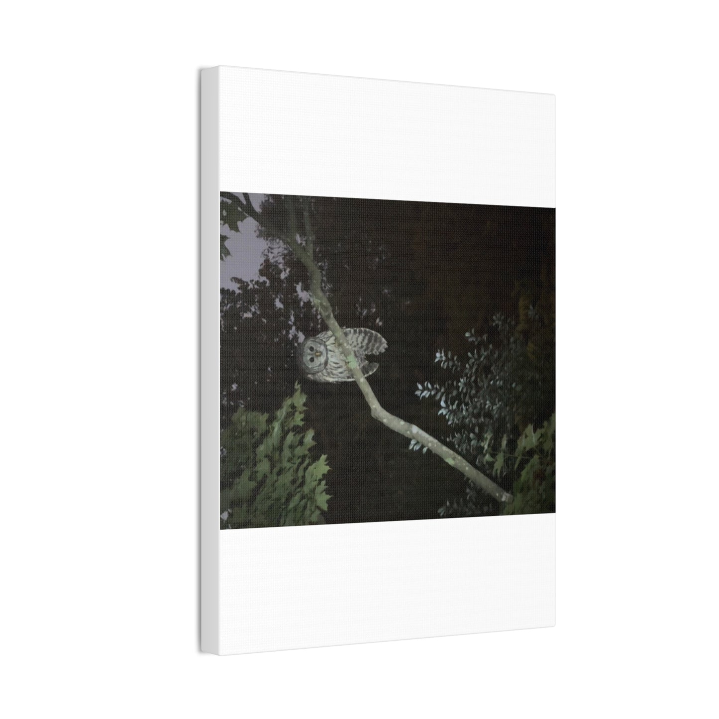 Wisconsin Adrenaline Junkies - Canvas Stretched, 0.75" - Watcher