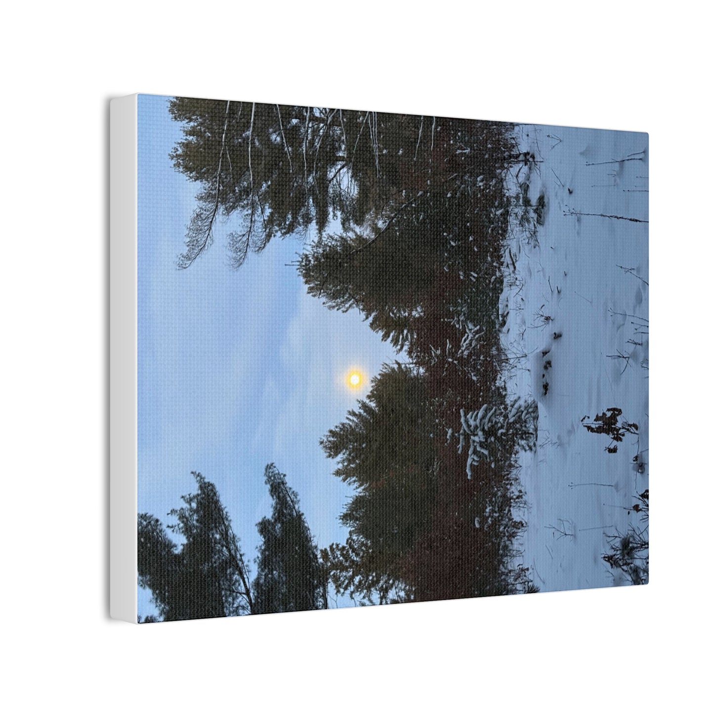 Wisconsin Adrenaline Junkies - Canvas Stretched, 0.75" - Snow